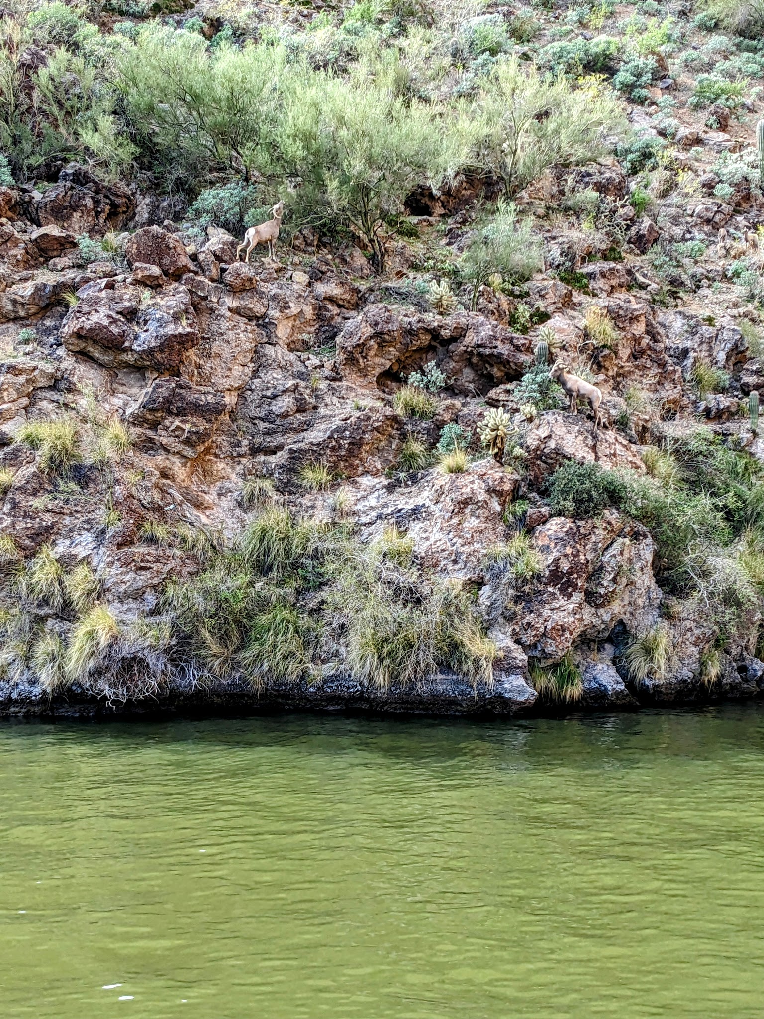 The Point Boat Dock, Campground And Picnic Area
