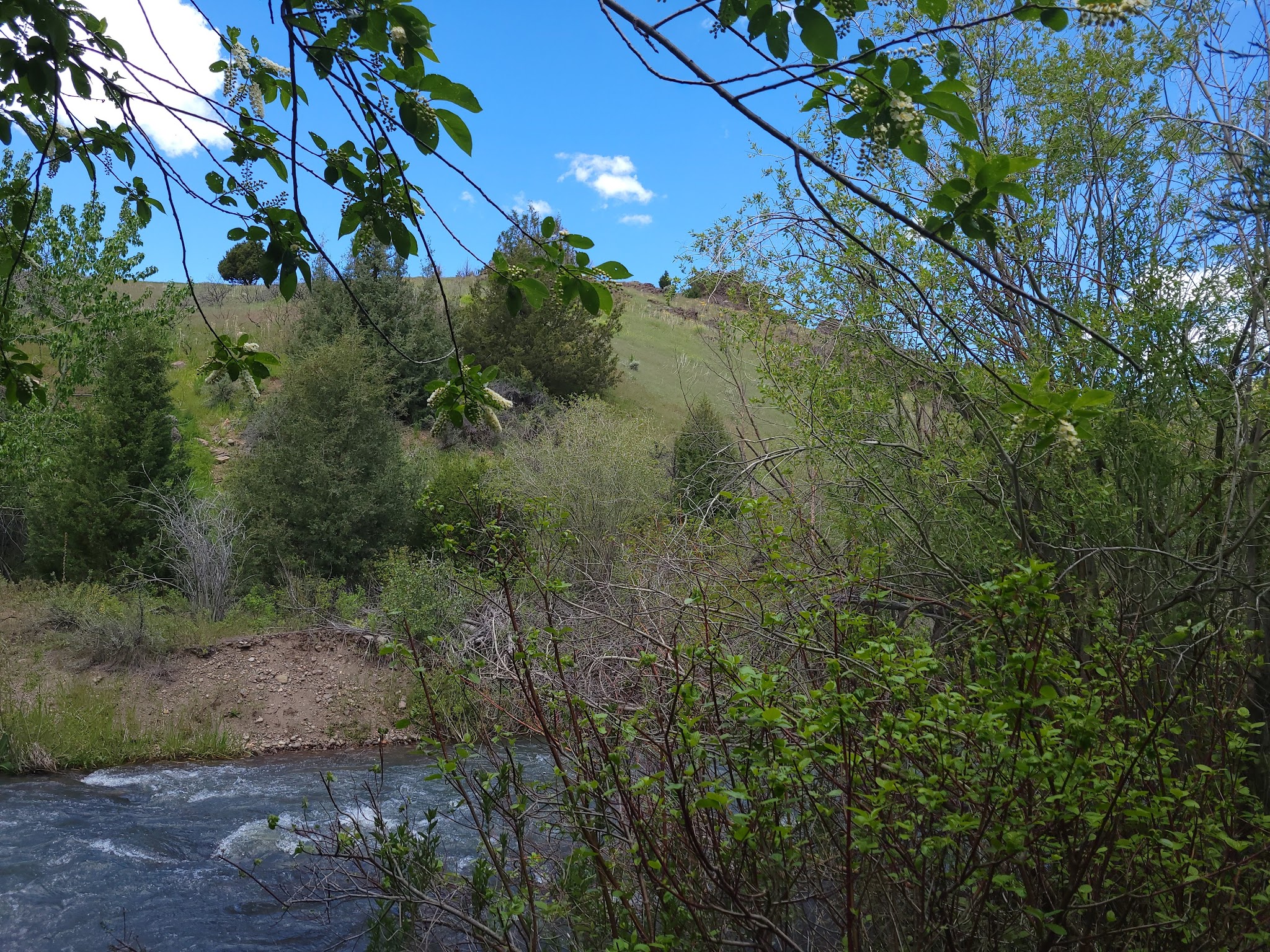 Third Fork Campground