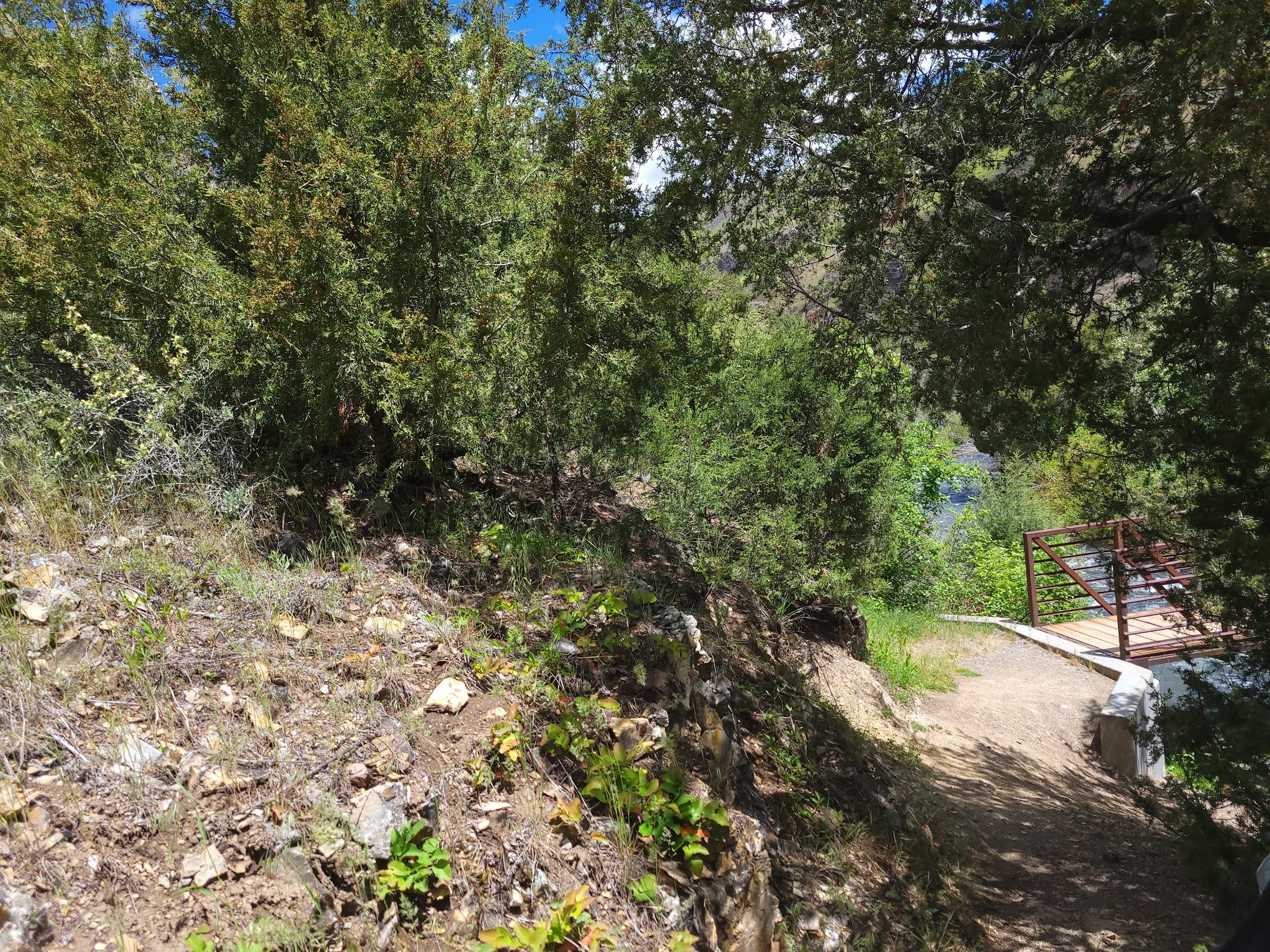 Third Fork Campground