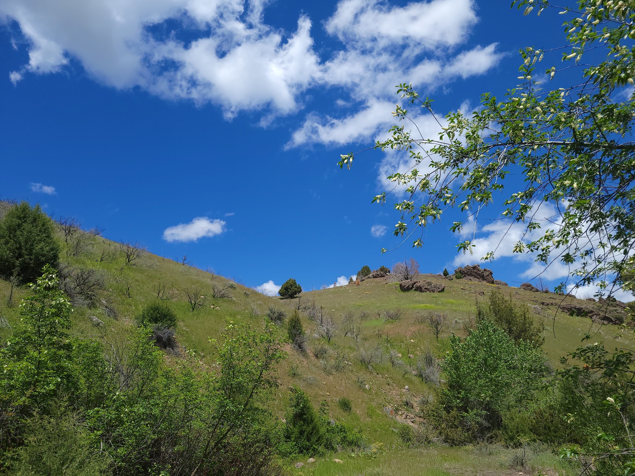 Third Fork Campground