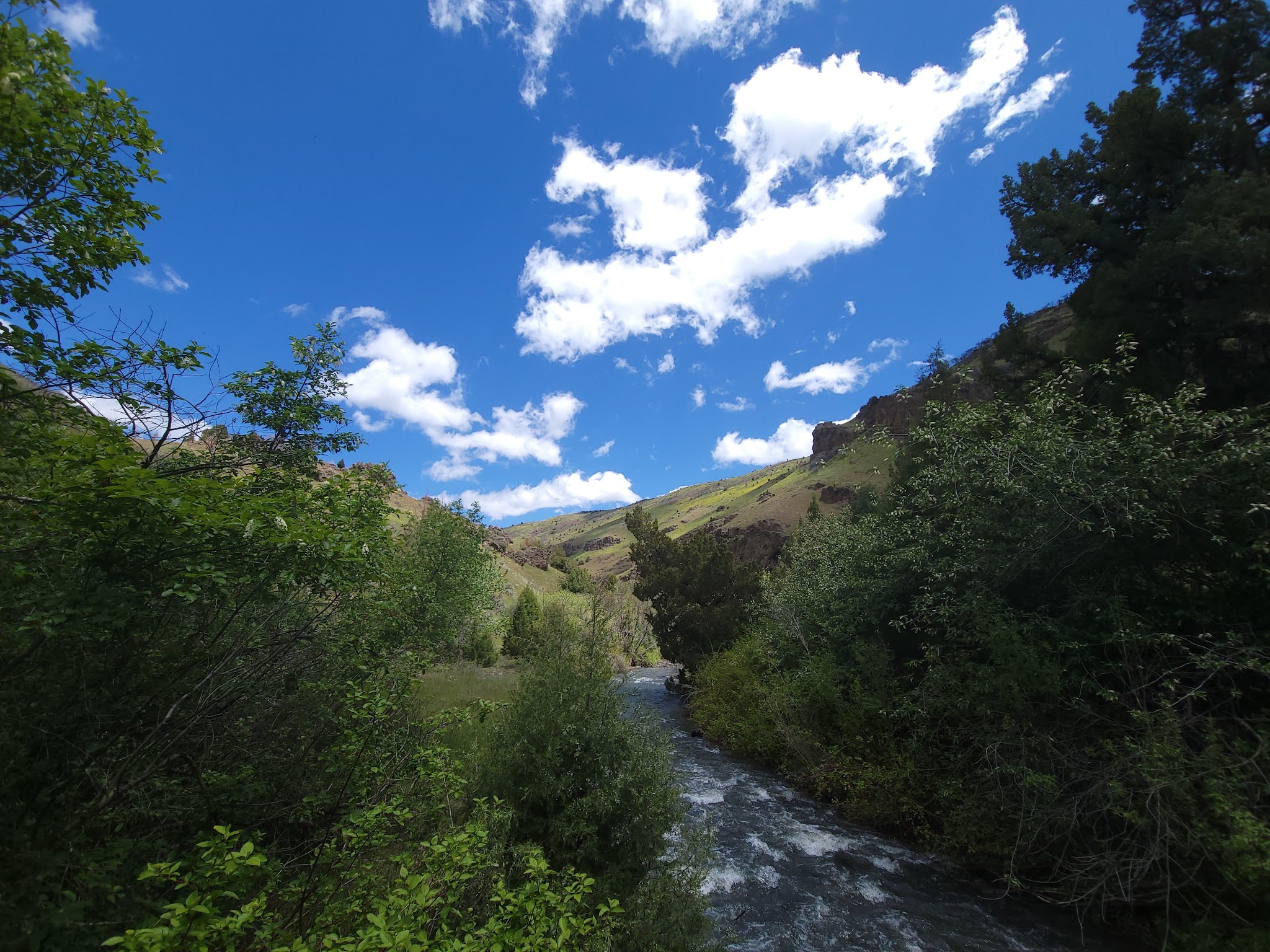 Third Fork Campground