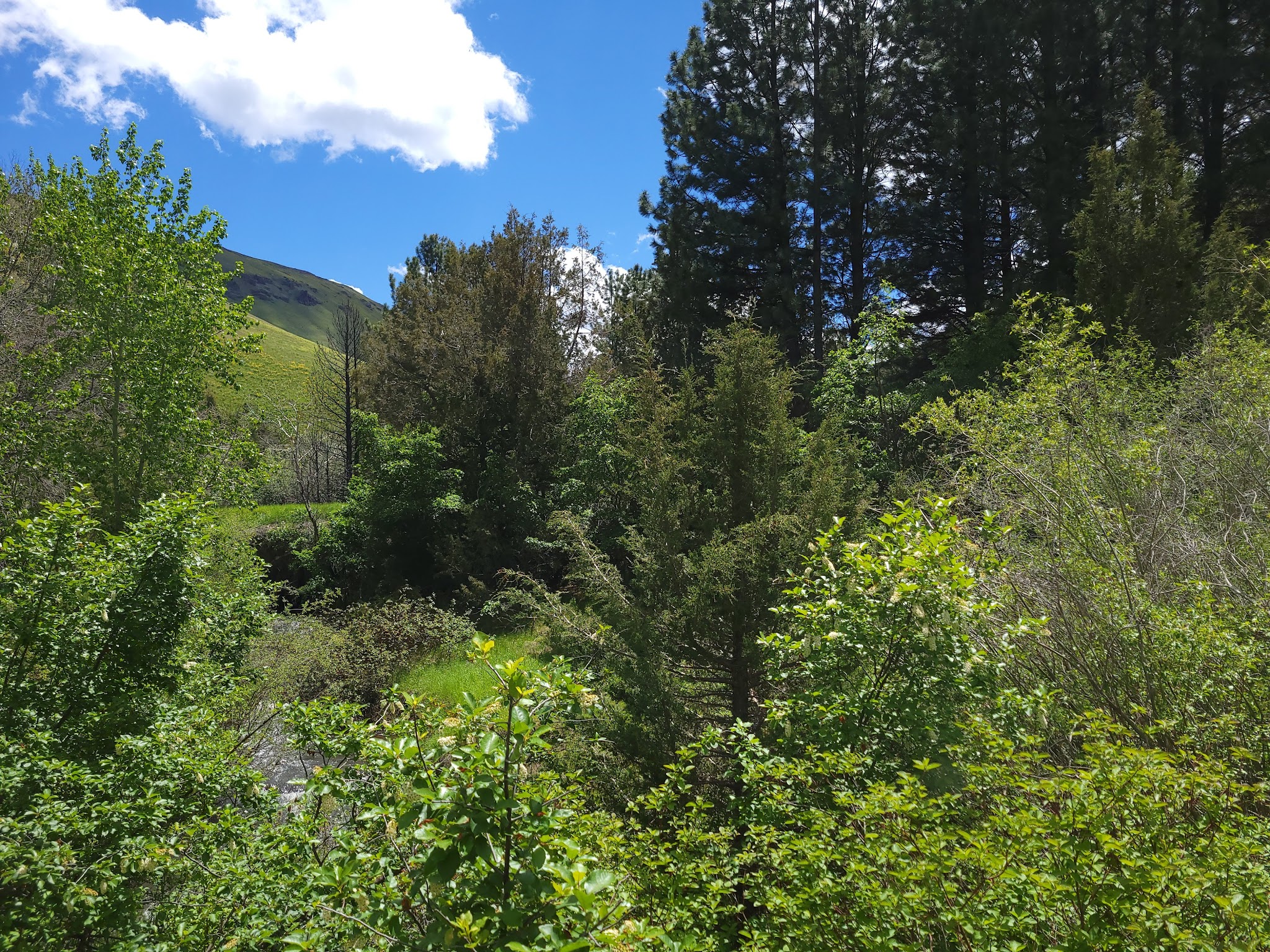 Third Fork Campground