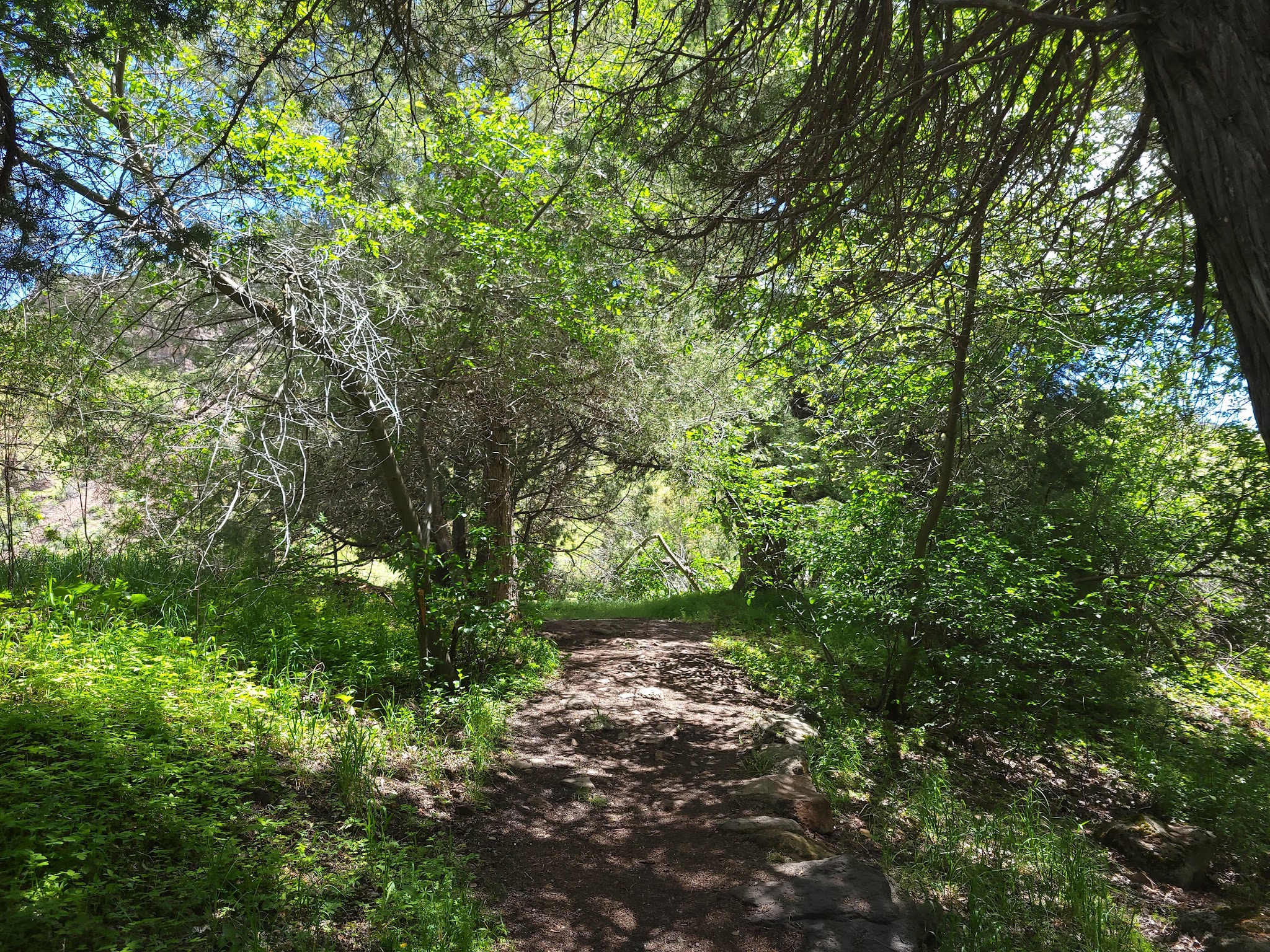 Third Fork Campground