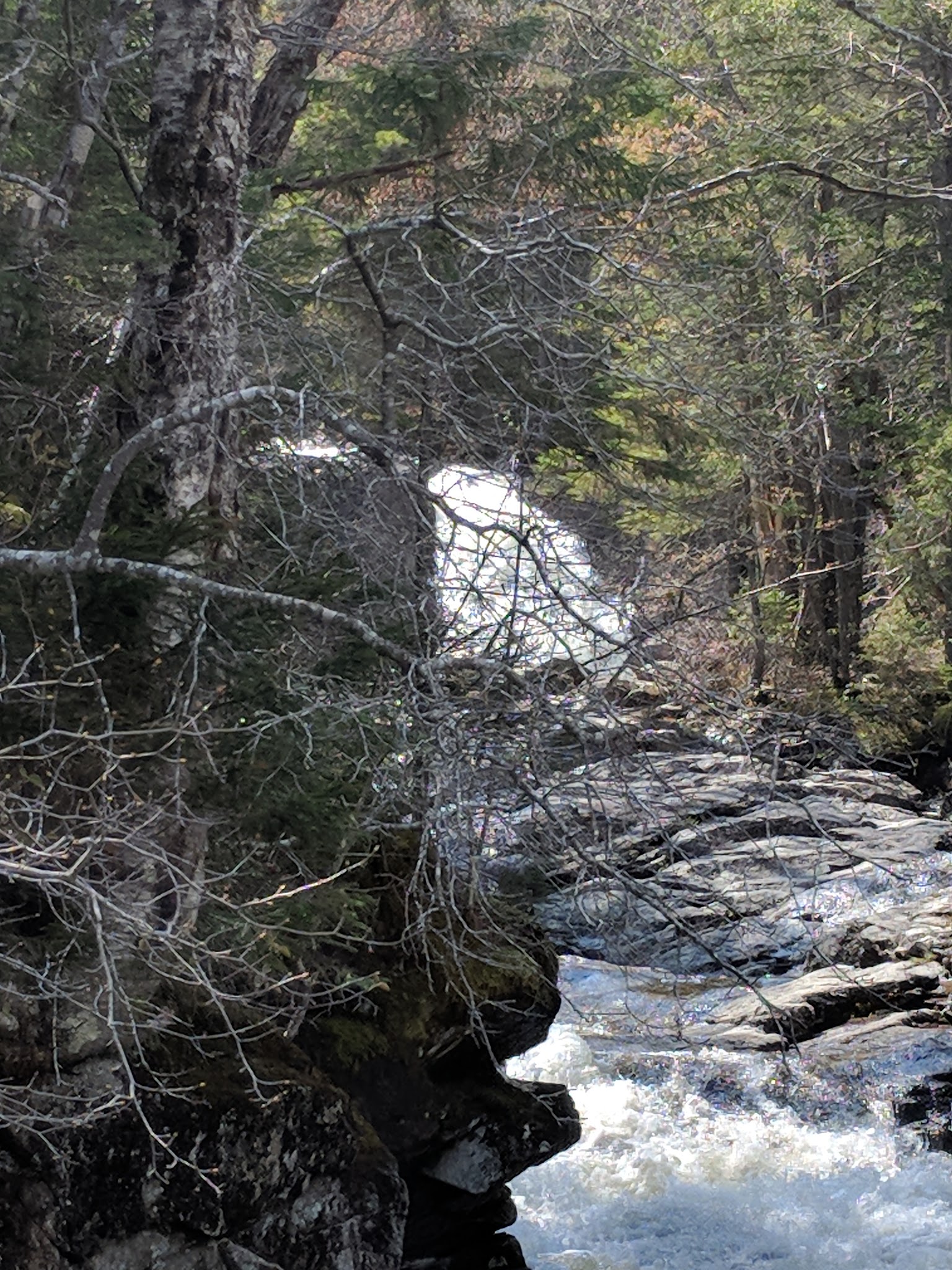 Thirteen Falls Tentsite