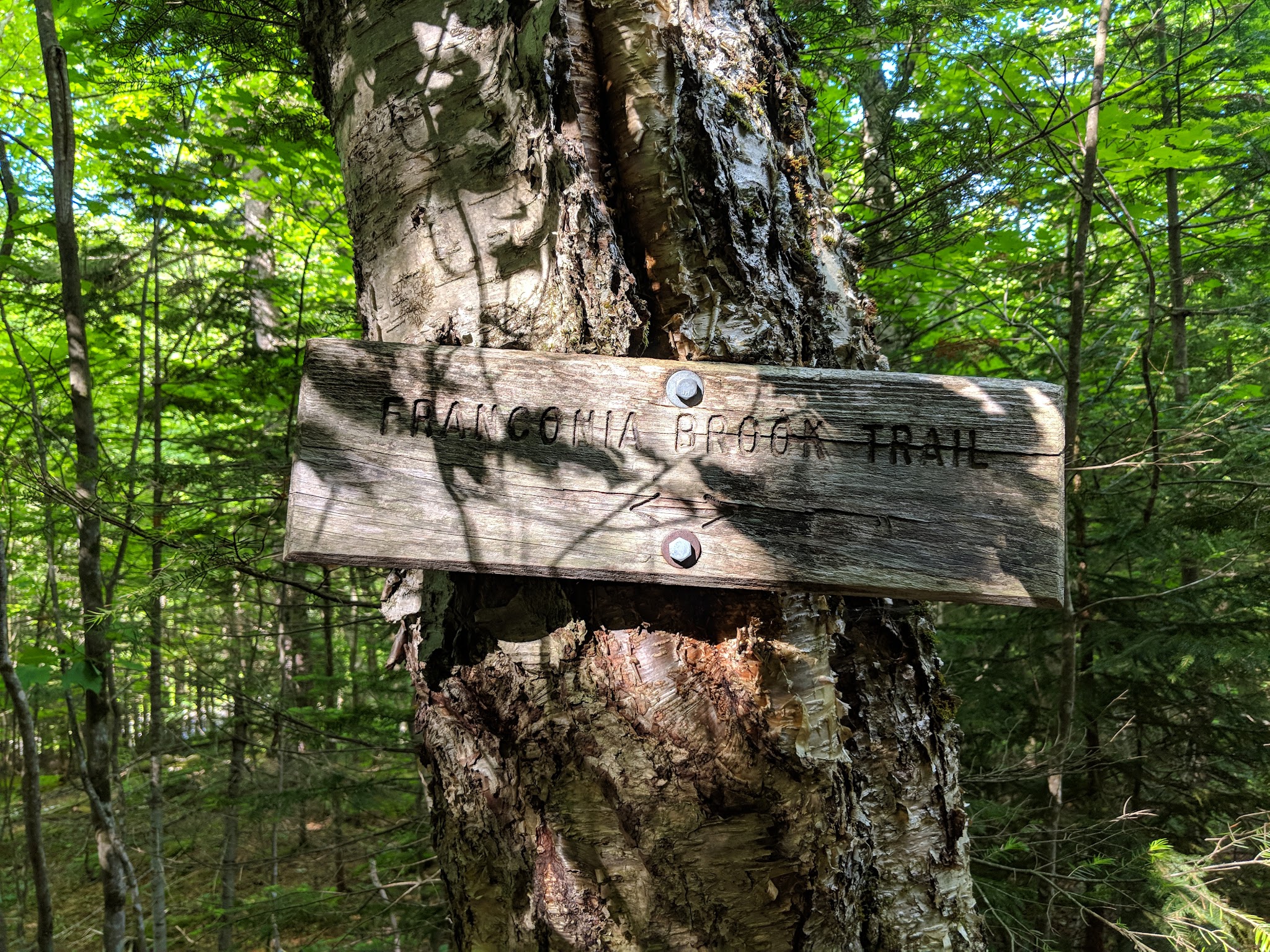 Thirteen Falls Tentsite