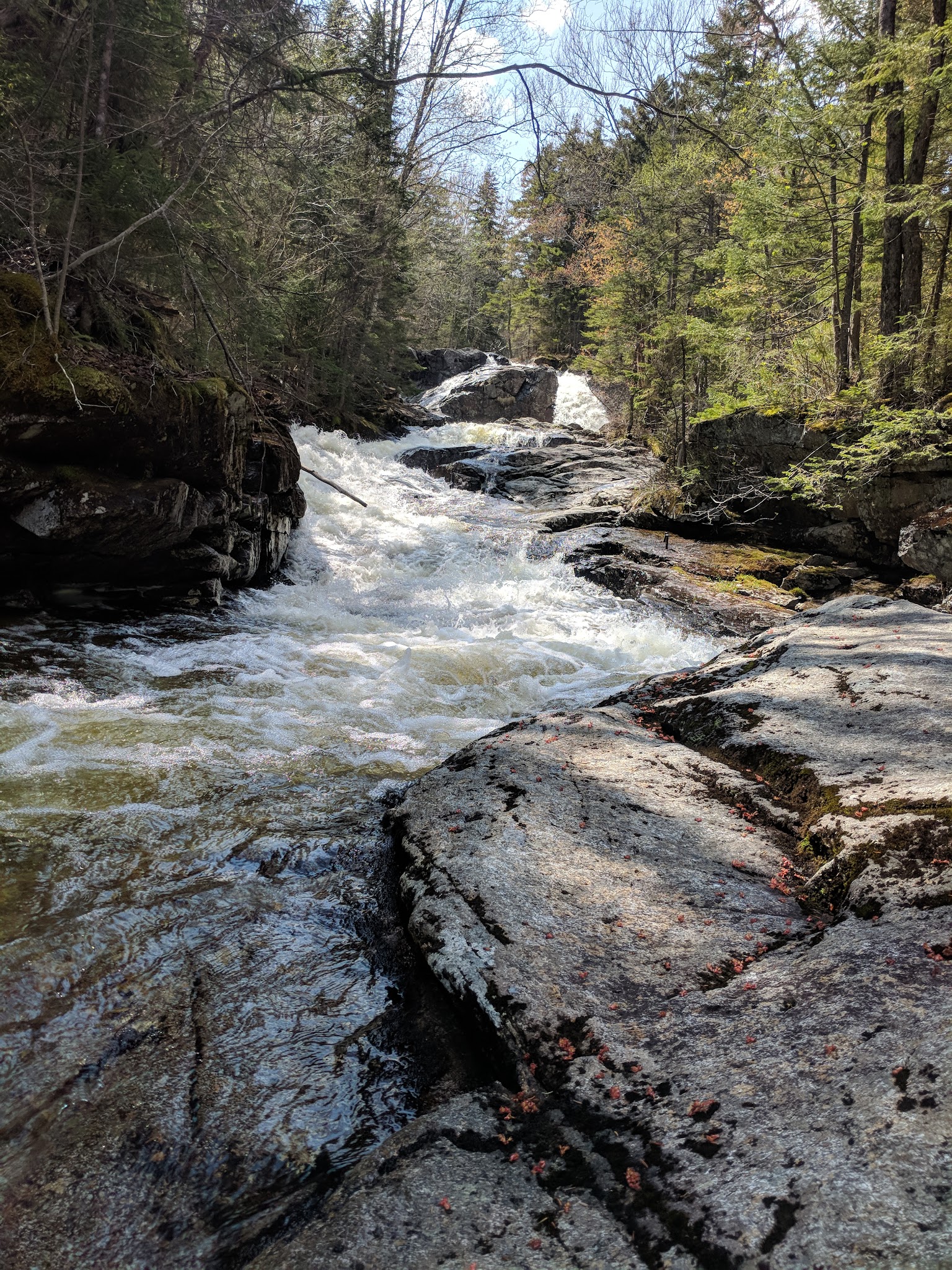 Thirteen Falls Tentsite