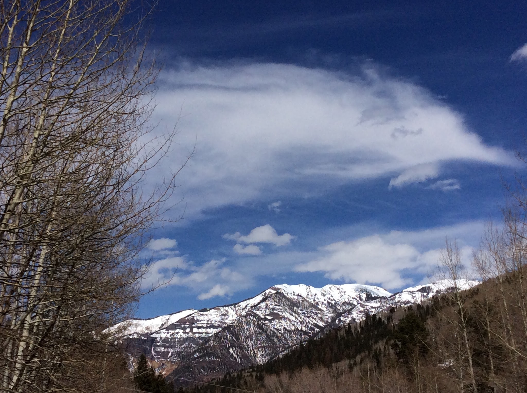 Thistledown Campground - Ouray Rd