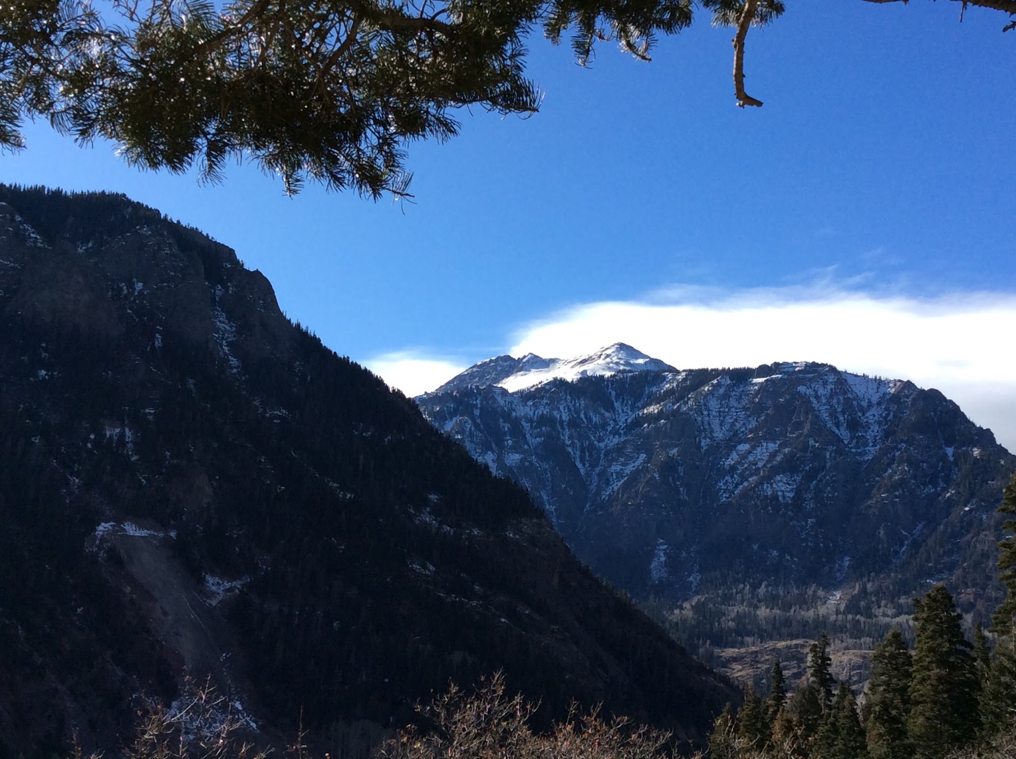 Thistledown Campground - Ouray Rd