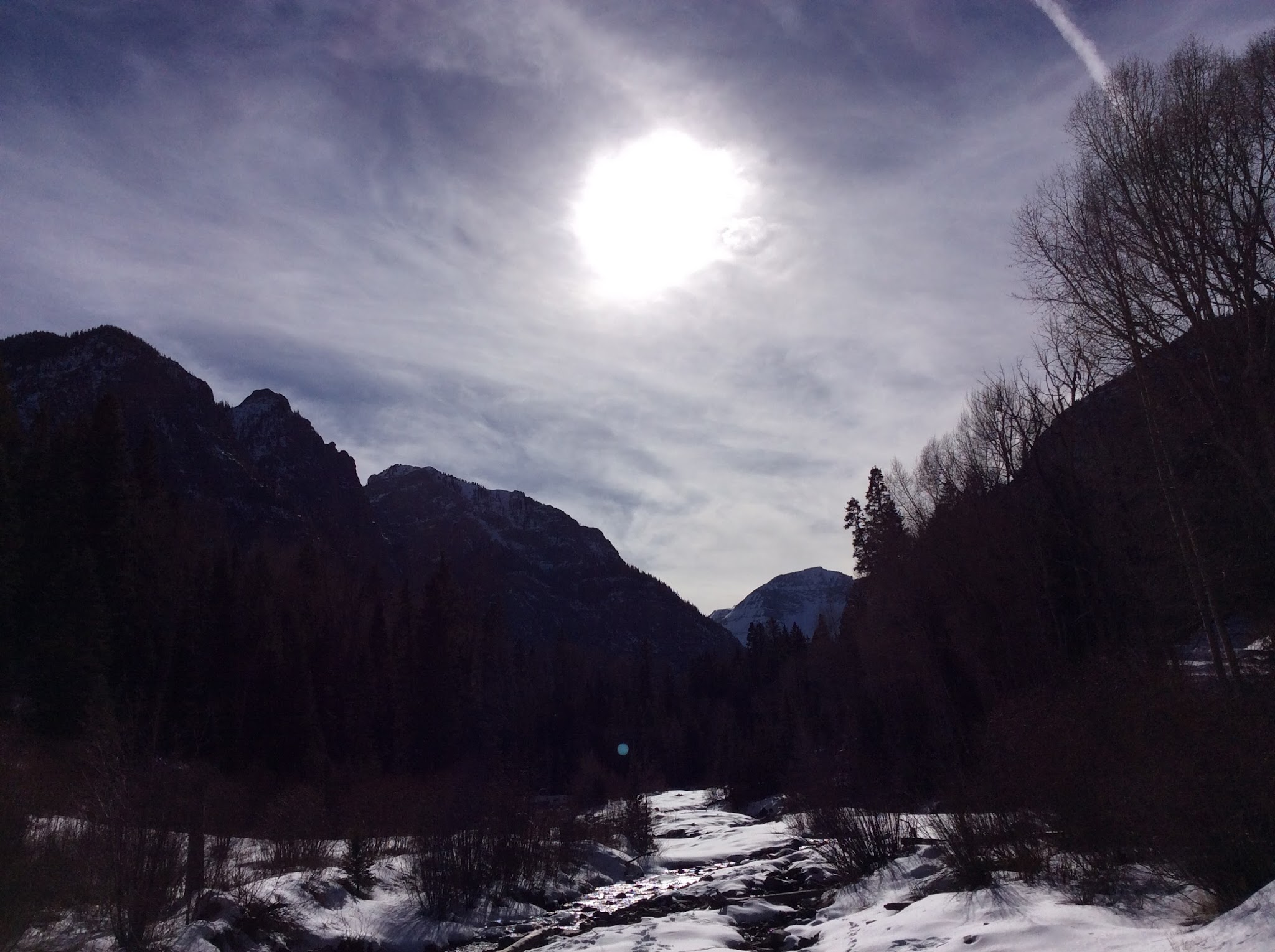 Thistledown Campground - Ouray Rd