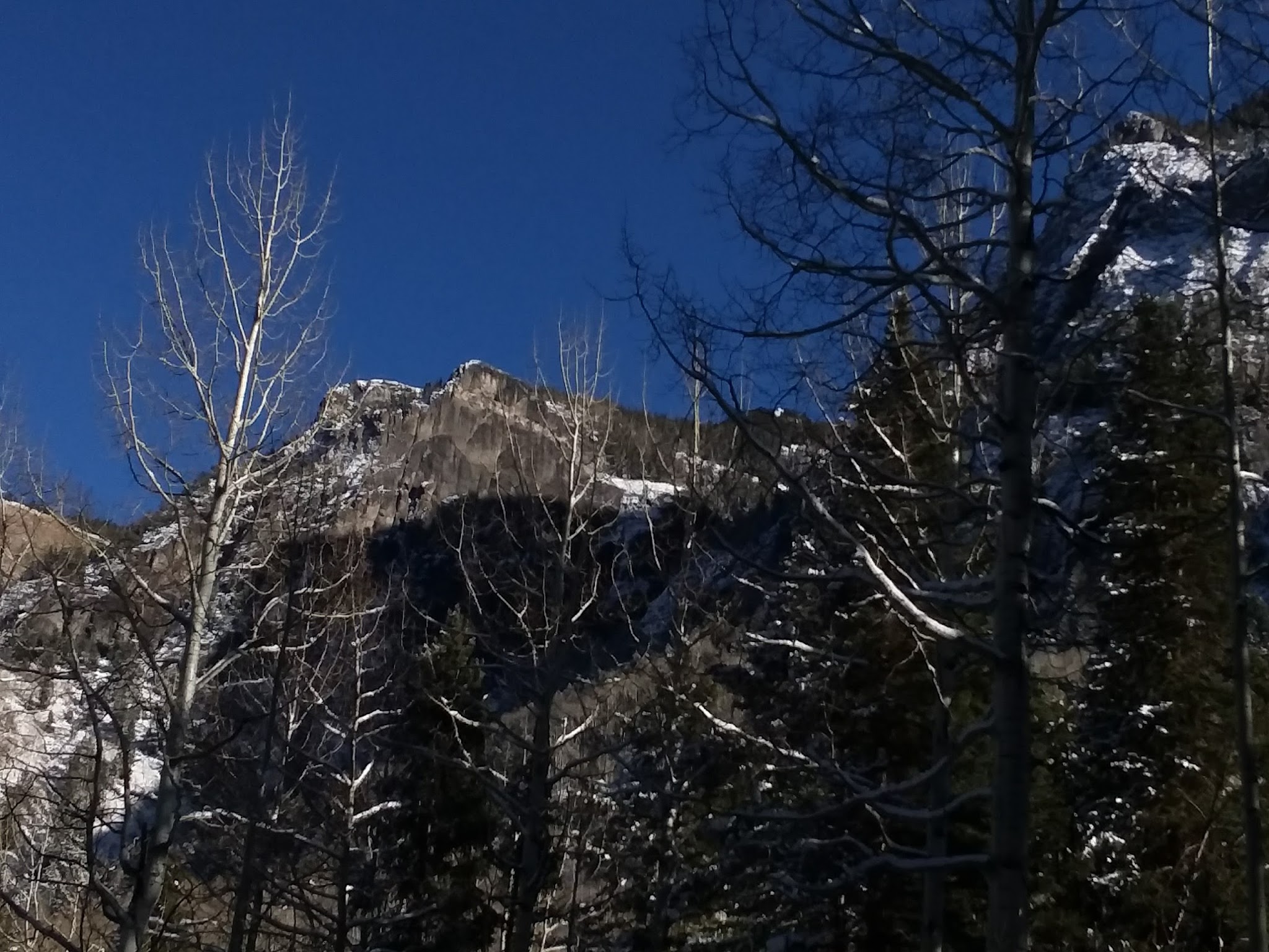 Thistledown Campground - Ouray Rd