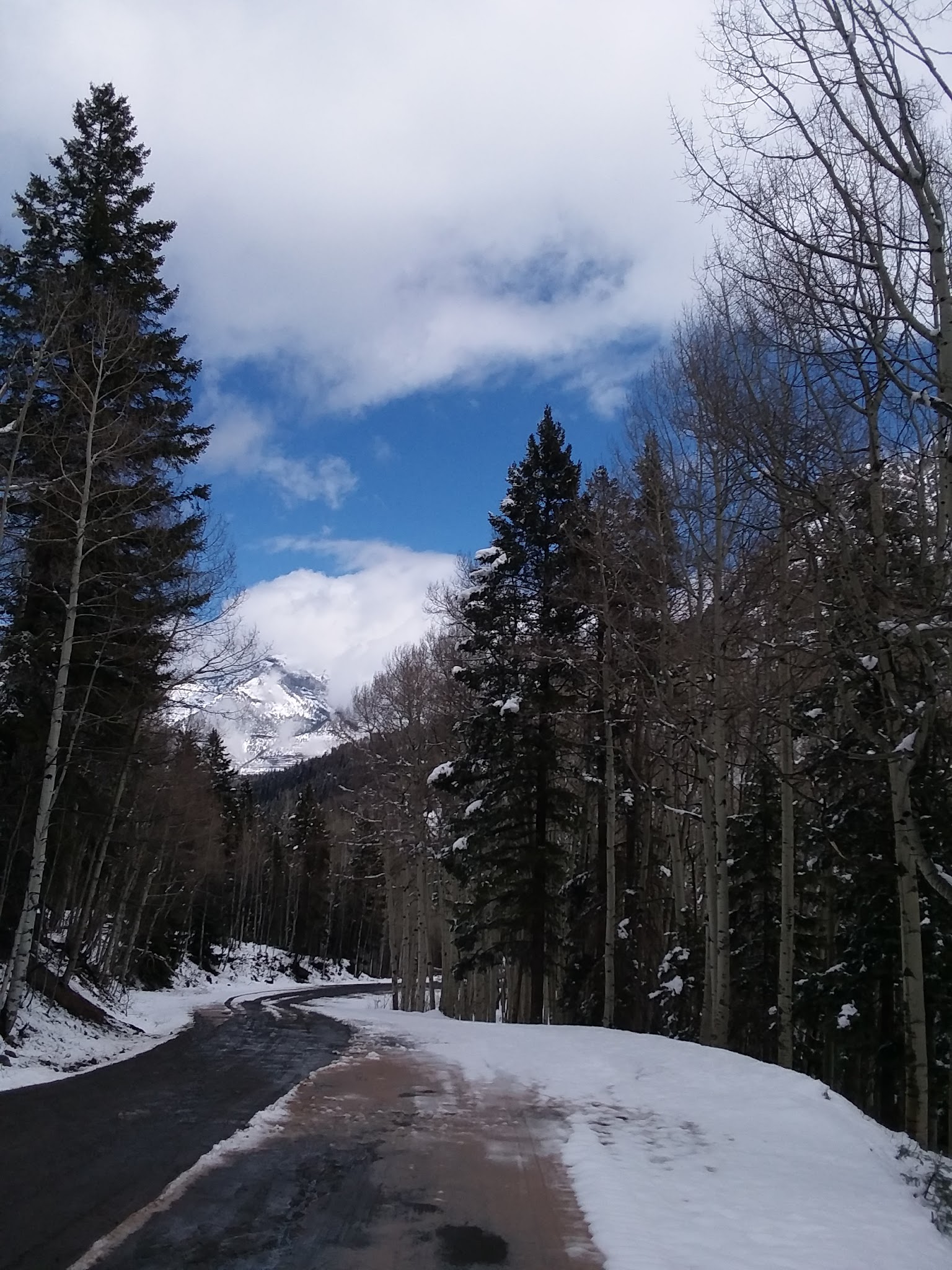 Thistledown Campground - Ouray Rd