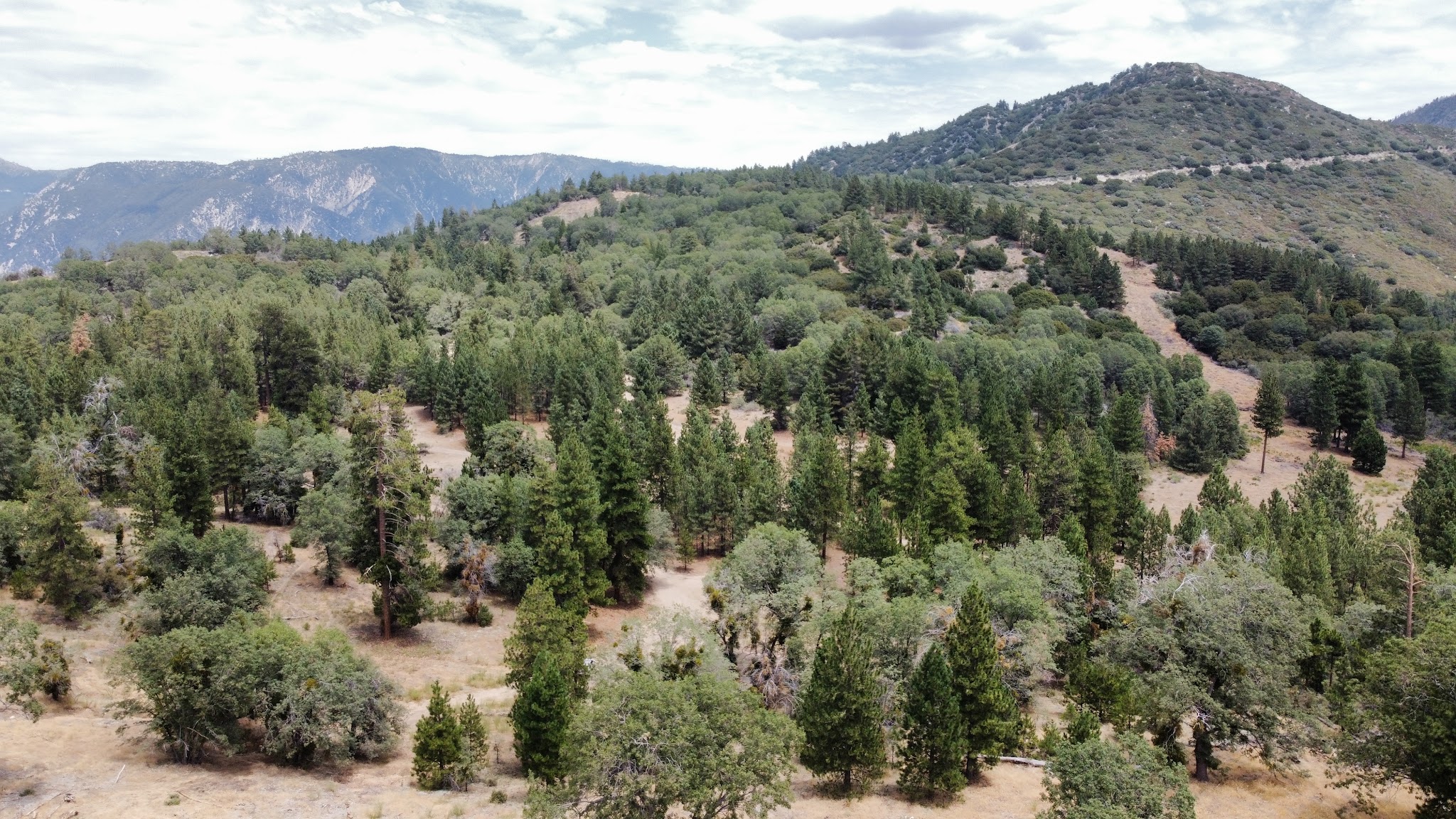 Thomas Hunting Grounds Yellow Post Sites