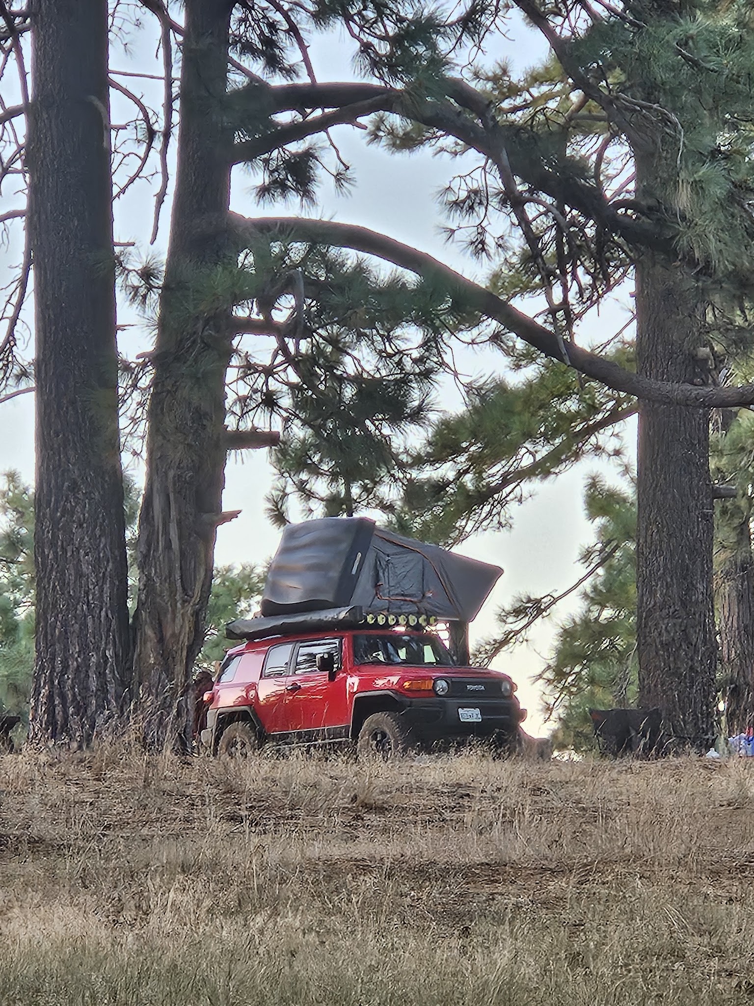Thomas Mountain & Toolbox Springs Yellow Post Site