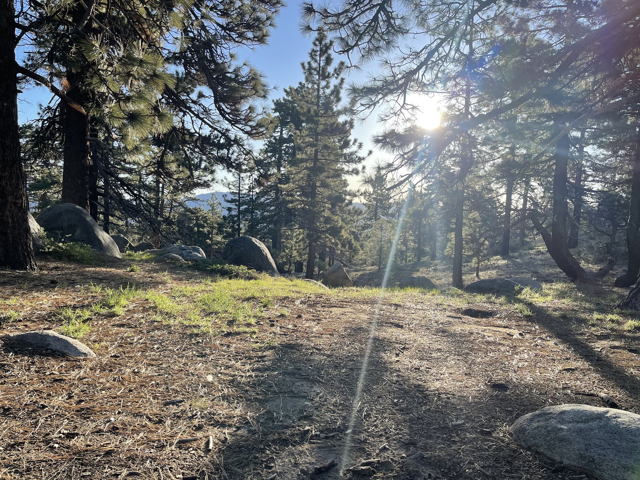 Thomas Mountain & Toolbox Springs Yellow Post Site