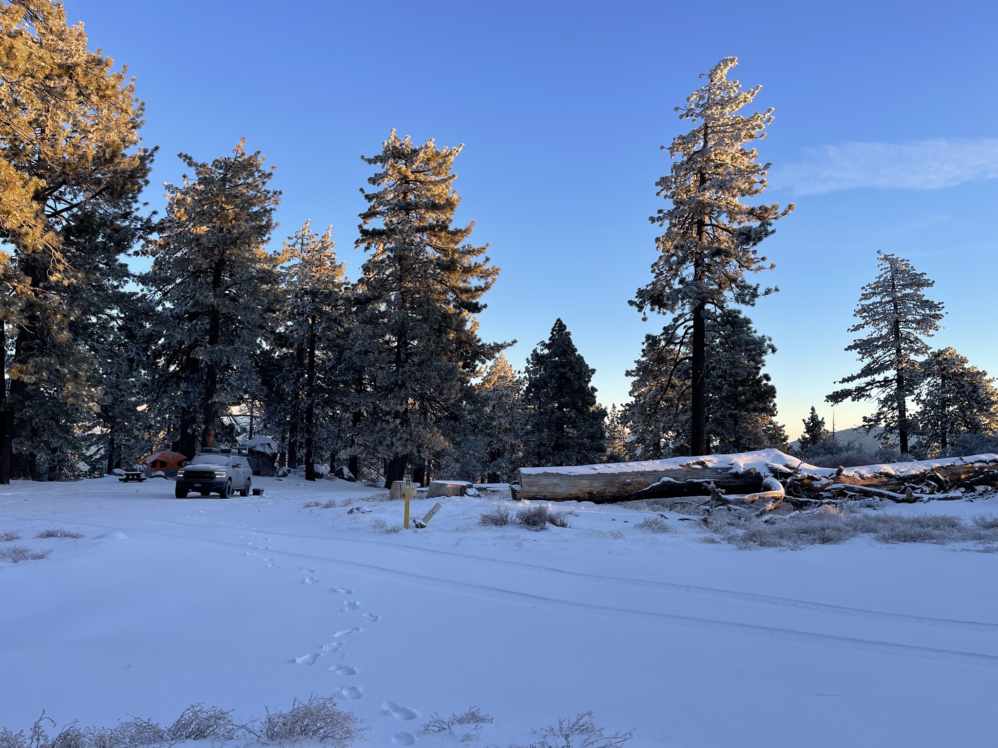 Thomas Mountain & Toolbox Springs Yellow Post Site
