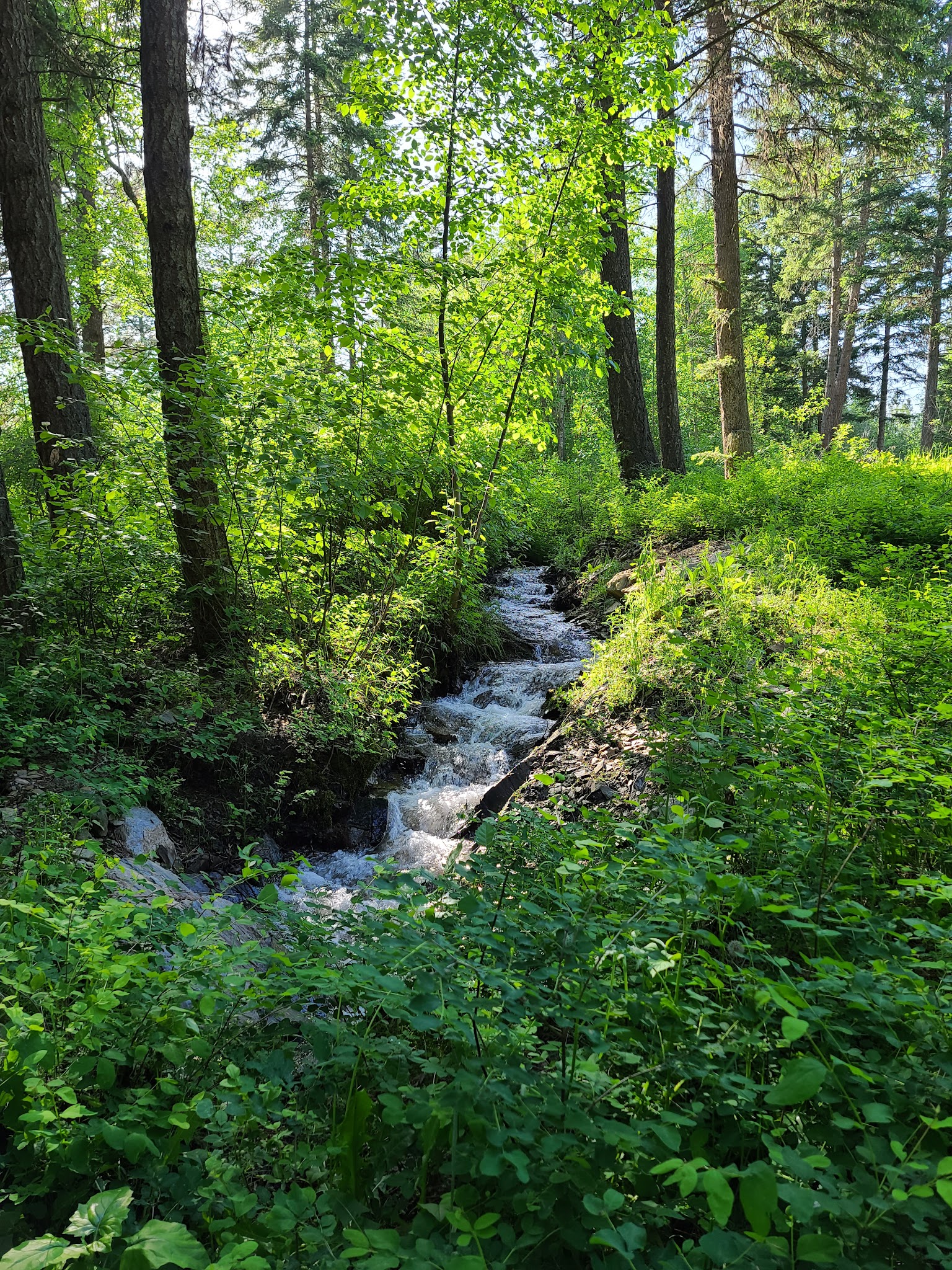 Thompson Falls State Park