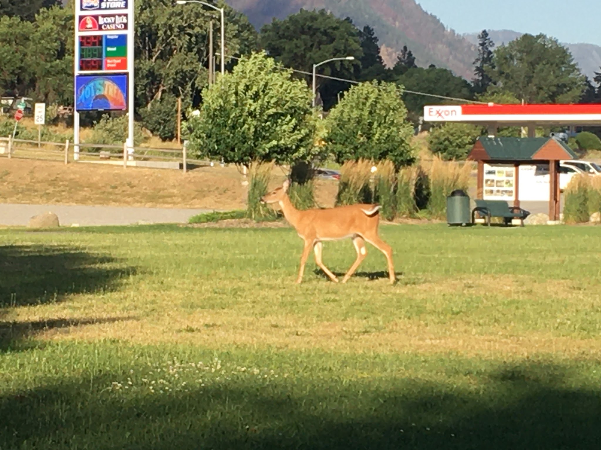 Thompson Falls State Park