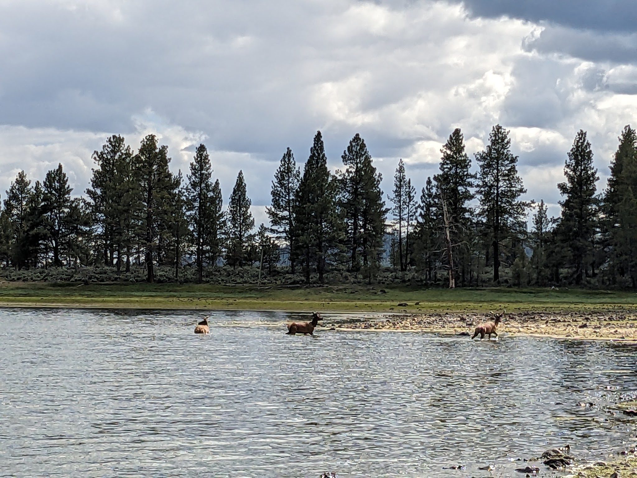 Thompson Reservoir Campground