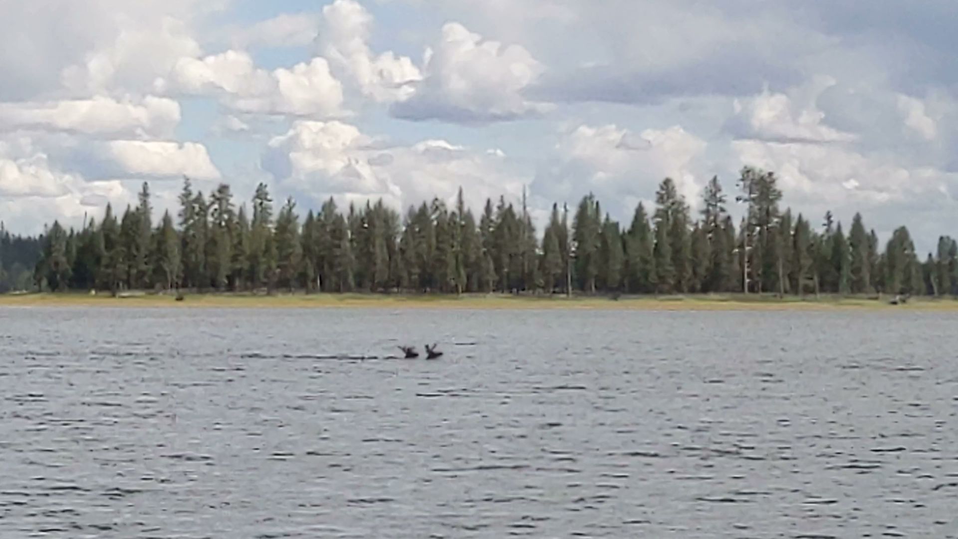 Thompson Reservoir Campground