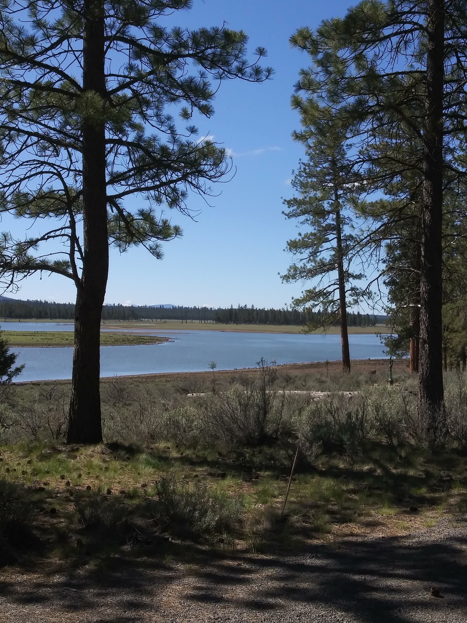 Thompson Reservoir Campground