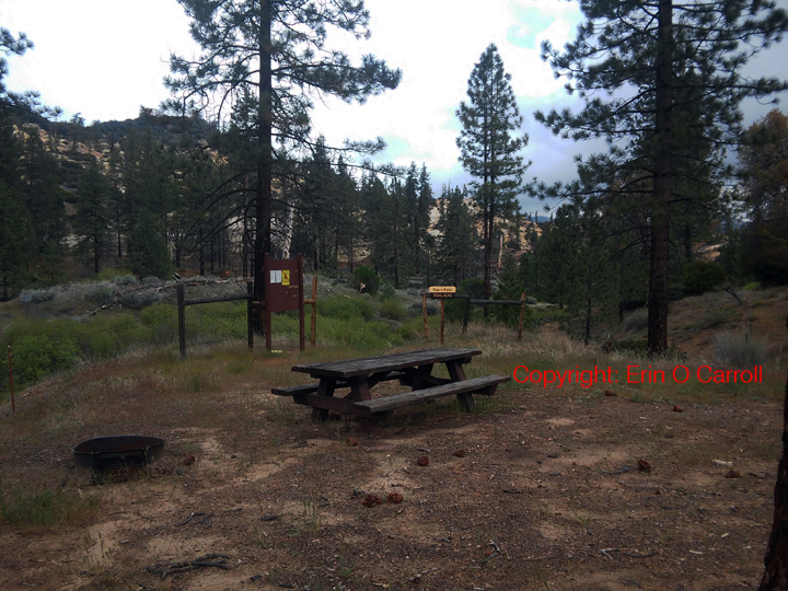 Thorn Meadows Campground