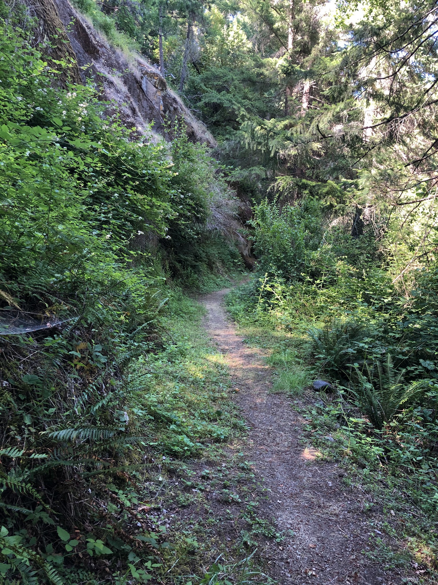 Three C Rock Campground