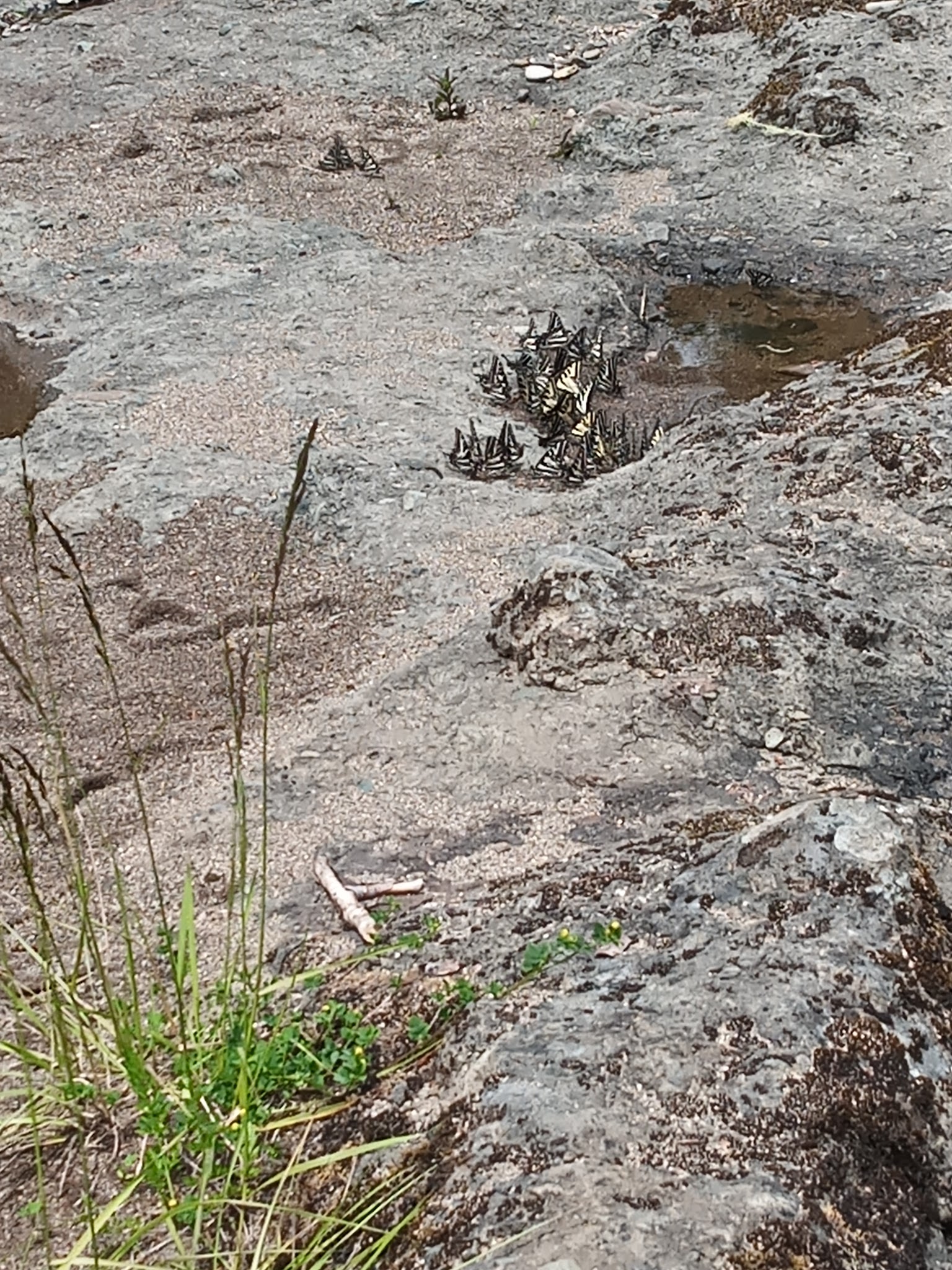 Three C Rock Campground