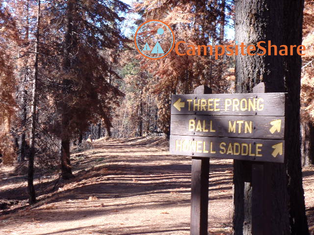 Three Prong Campground