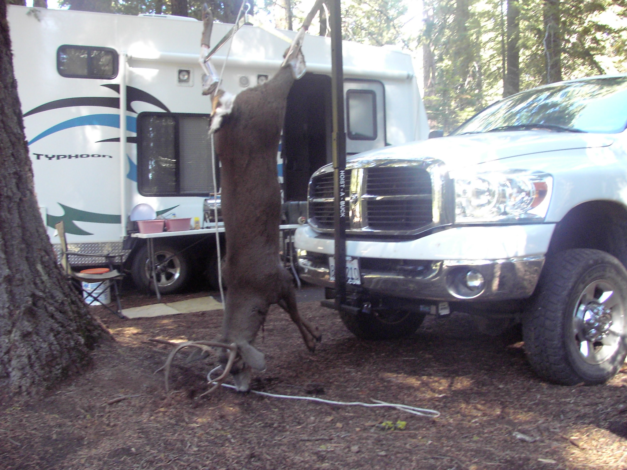 Three Prong Campground