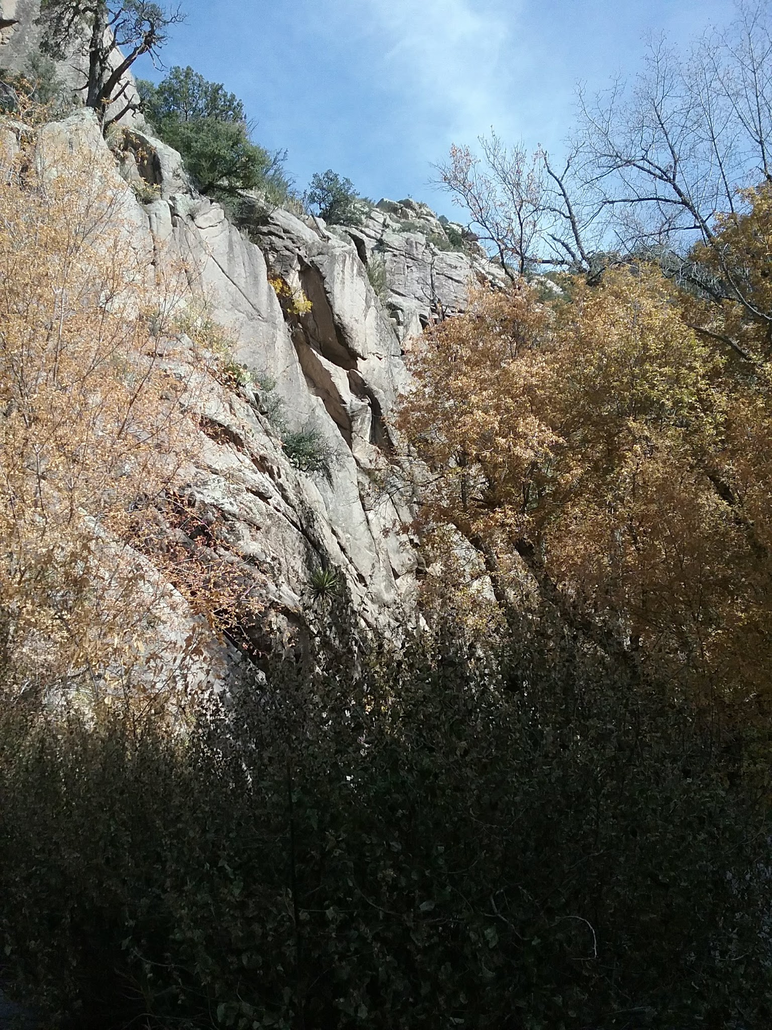 Three Rivers Campground