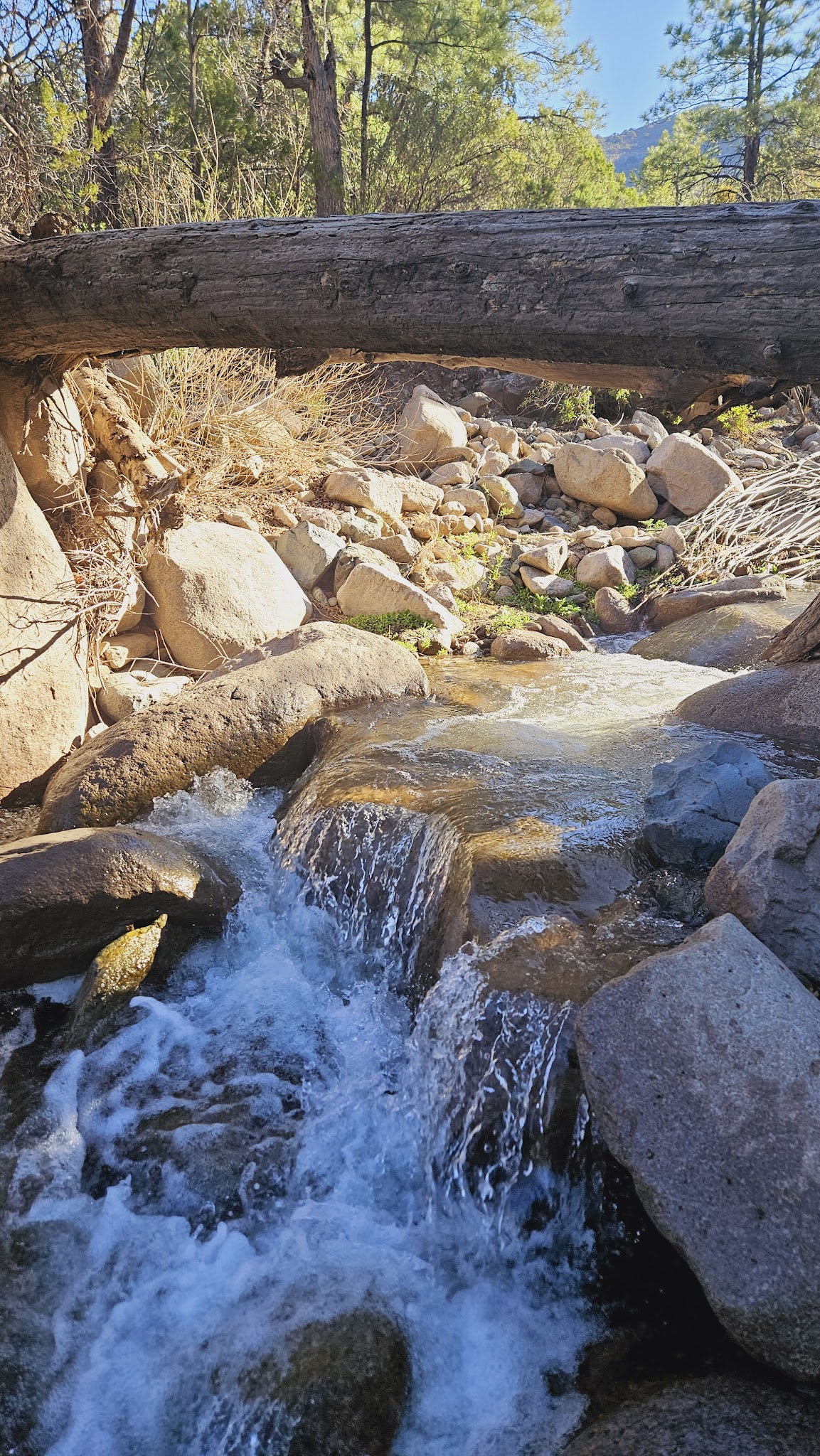 Three Rivers Campground