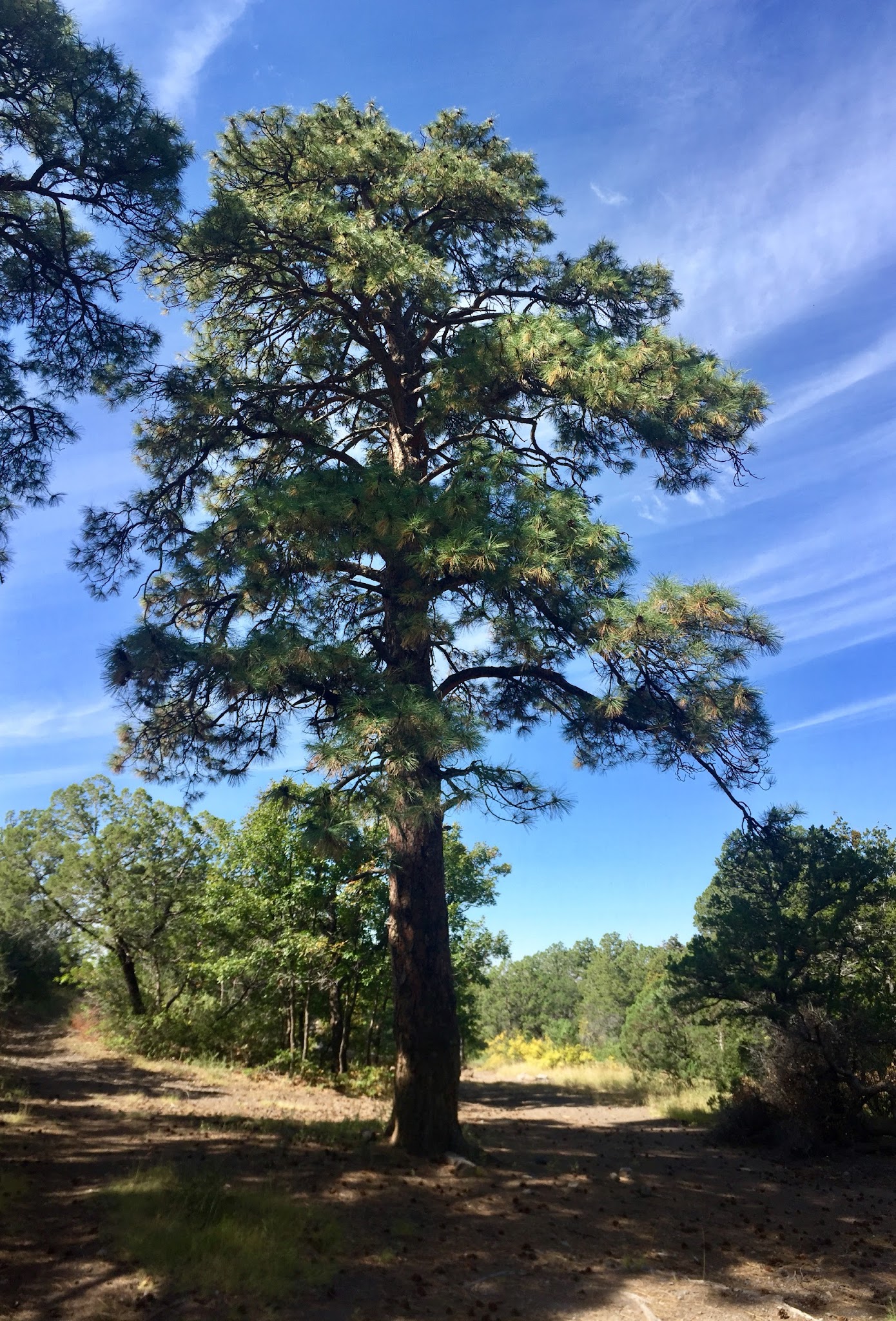 Three Rivers Campground
