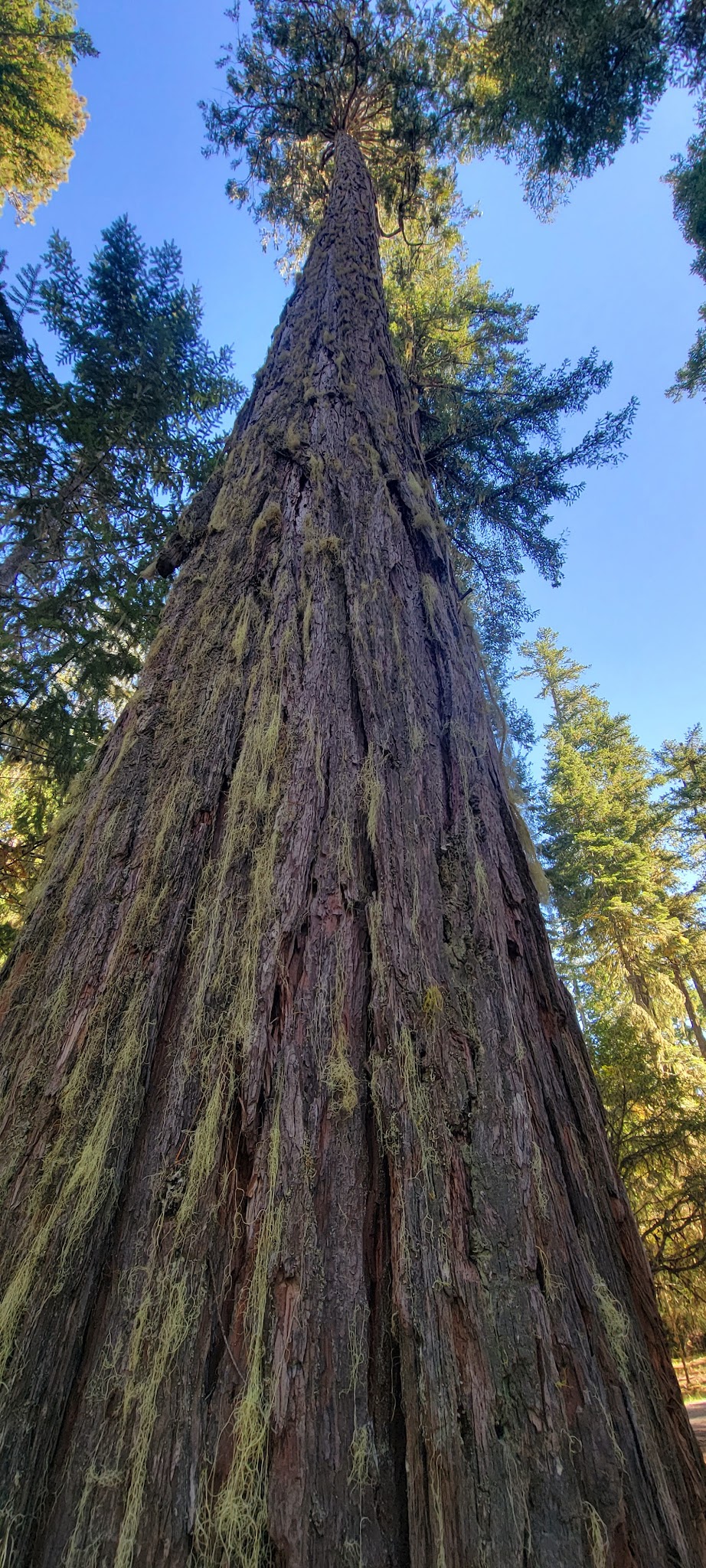 Threehorn Campground