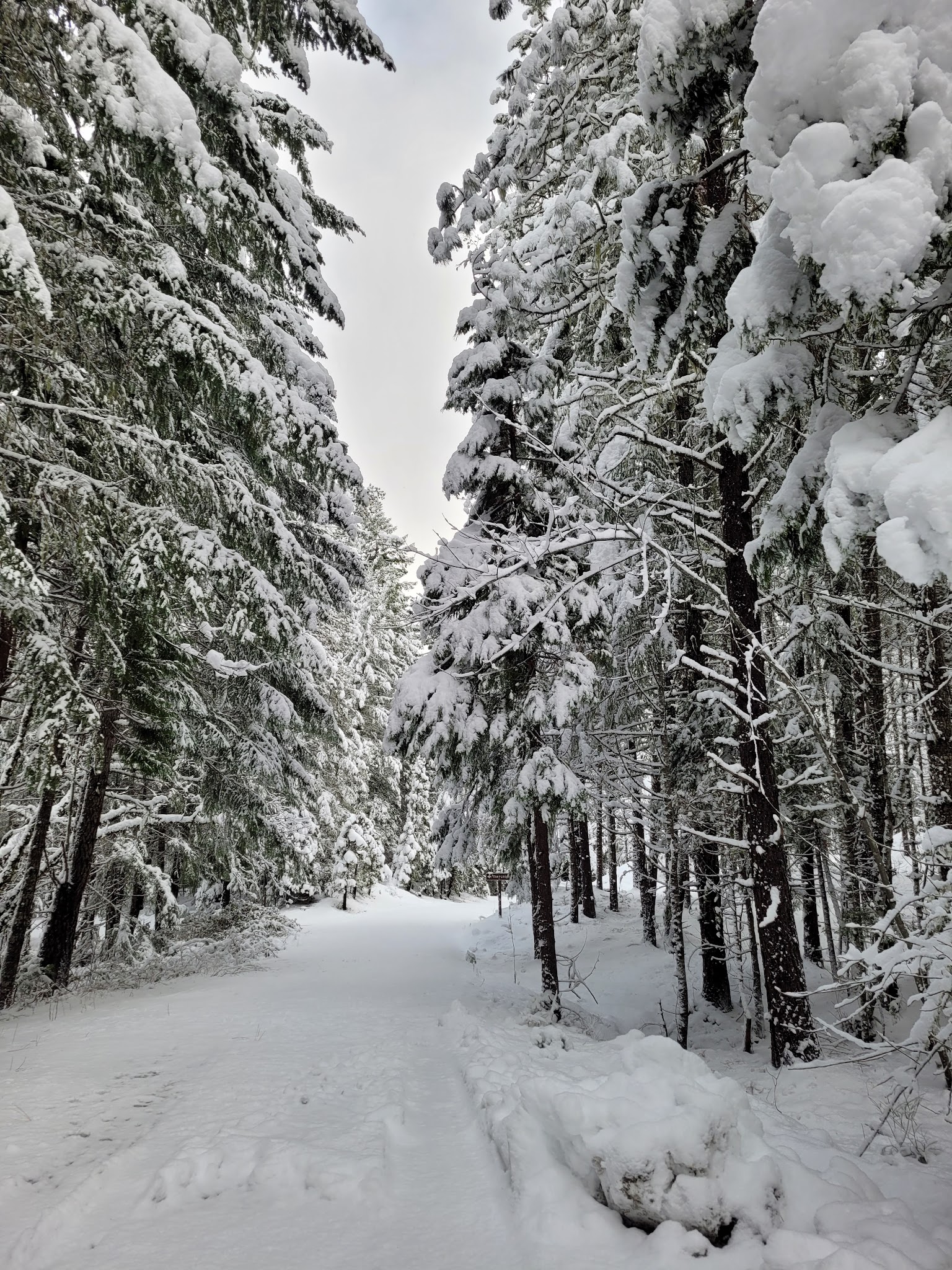 Threehorn Campground