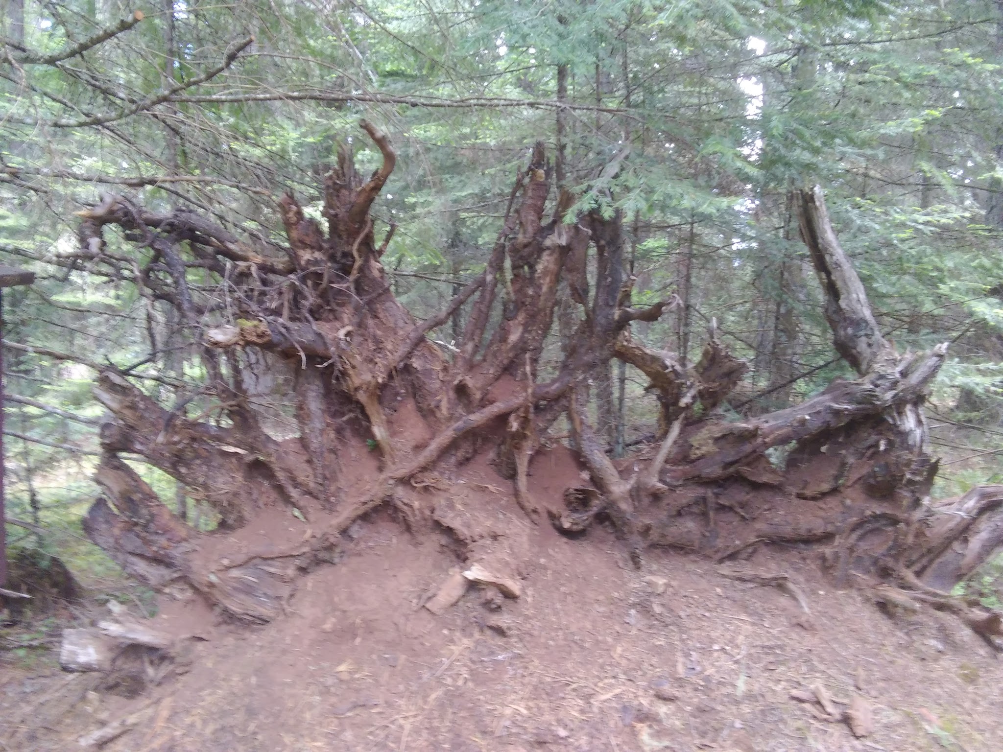 Threehorn Campground