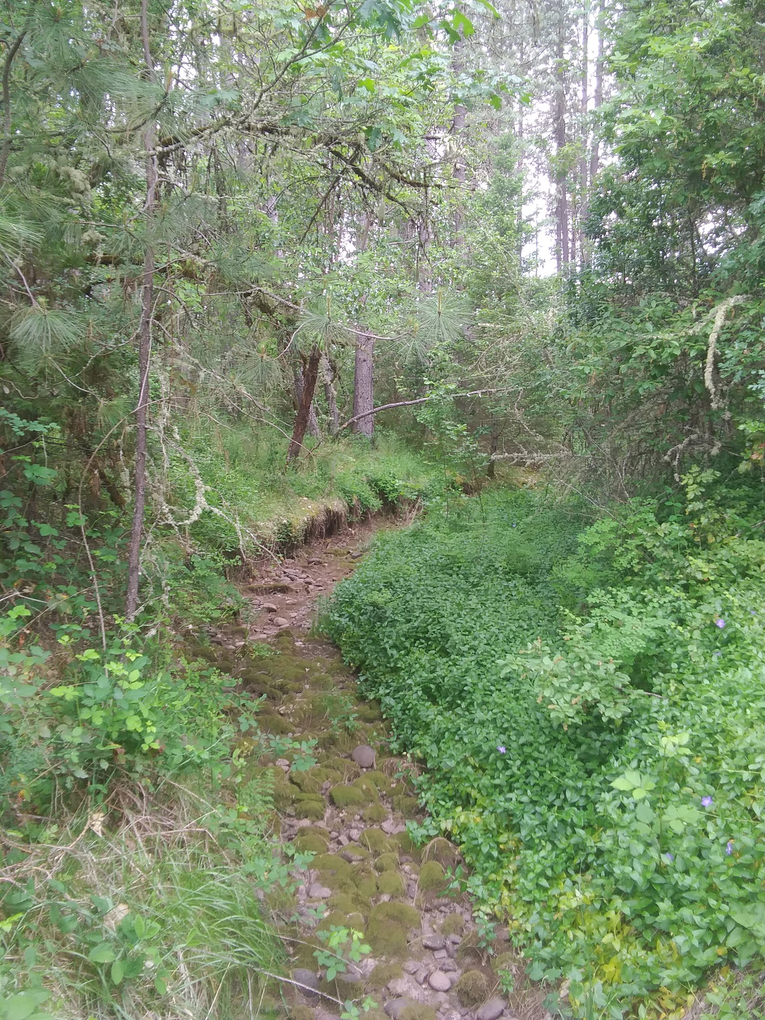 Threehorn Campground
