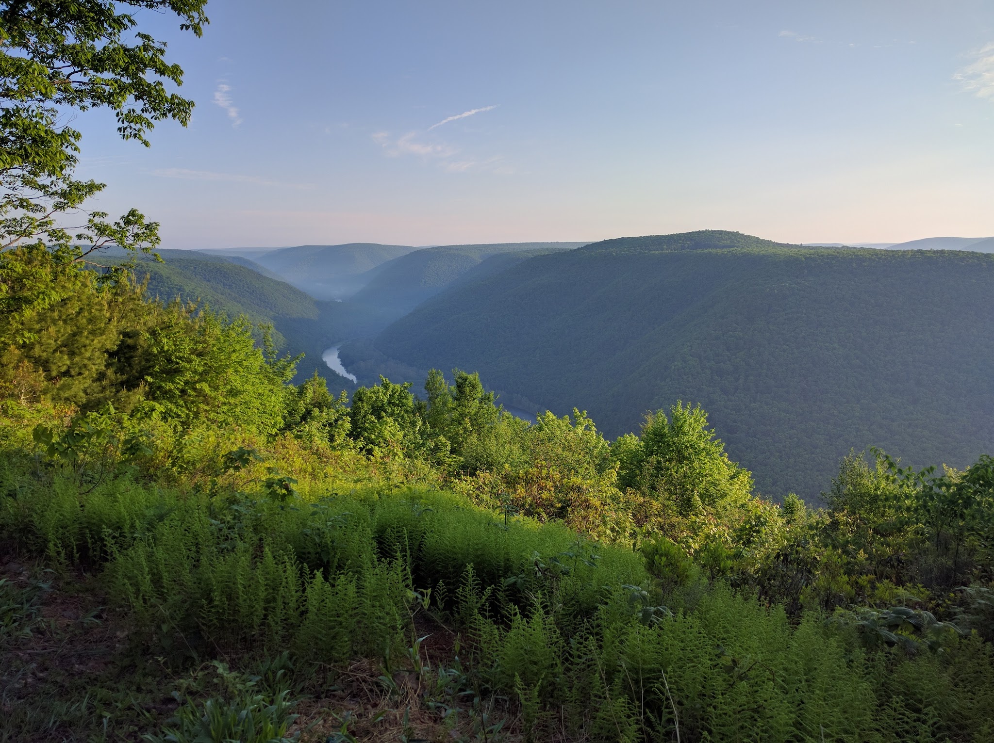 Tiadaghton State Forest