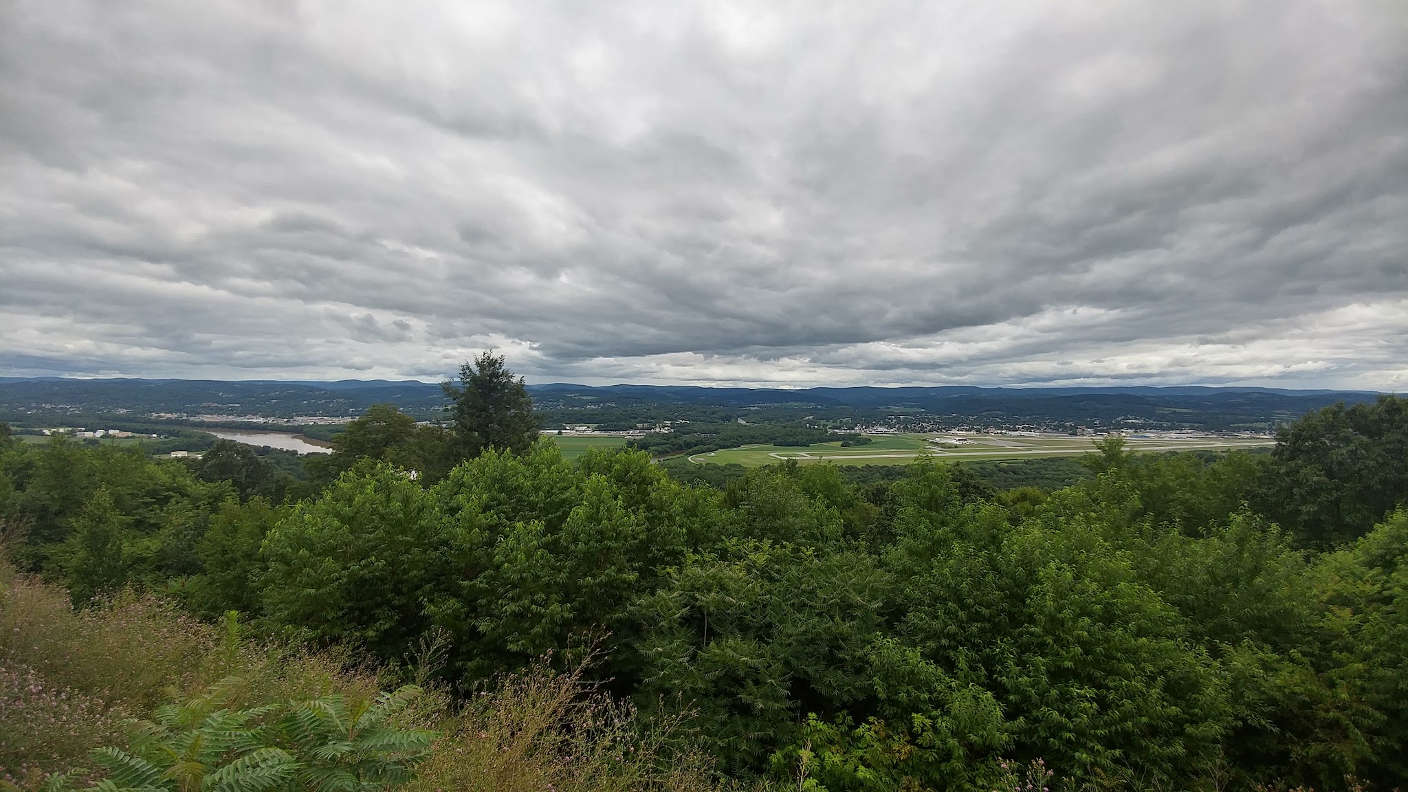 Tiadaghton State Forest