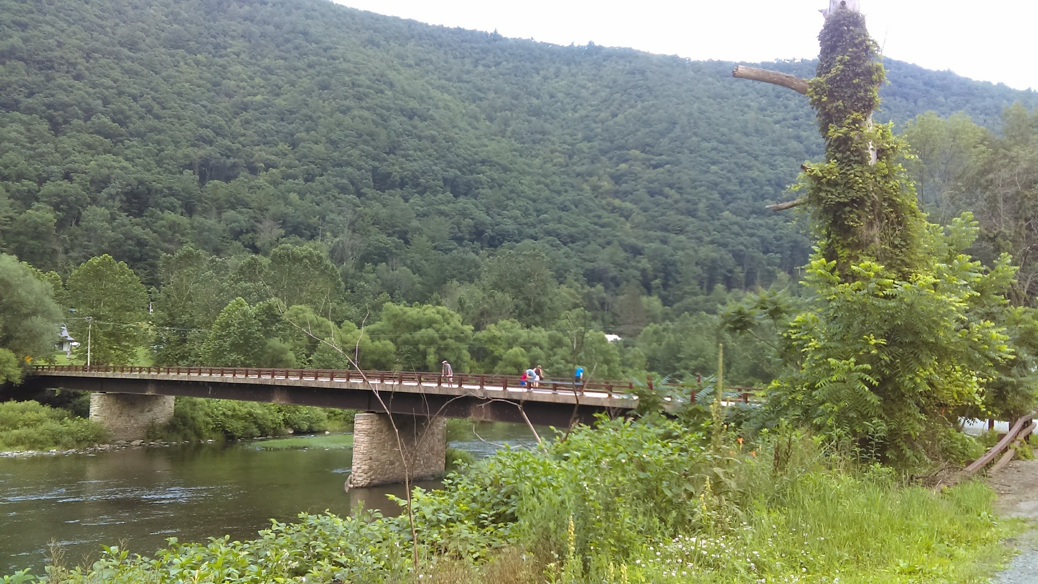 Tiadaghton State Forest