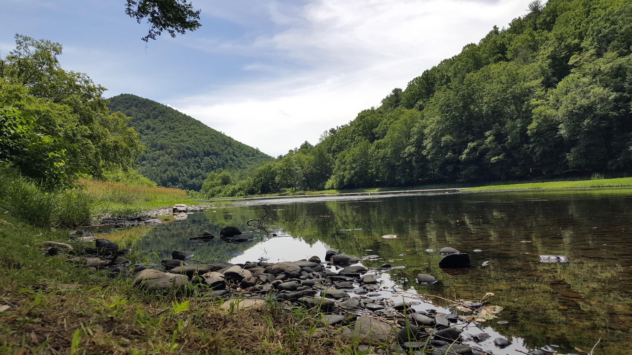 Tiadaghton State Forest
