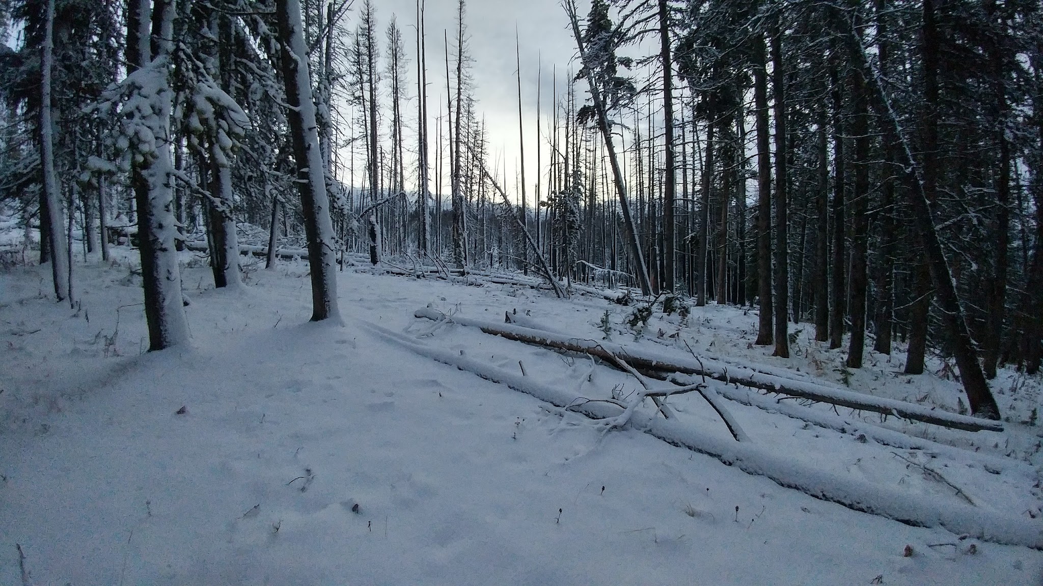 Tiffany Springs Campground