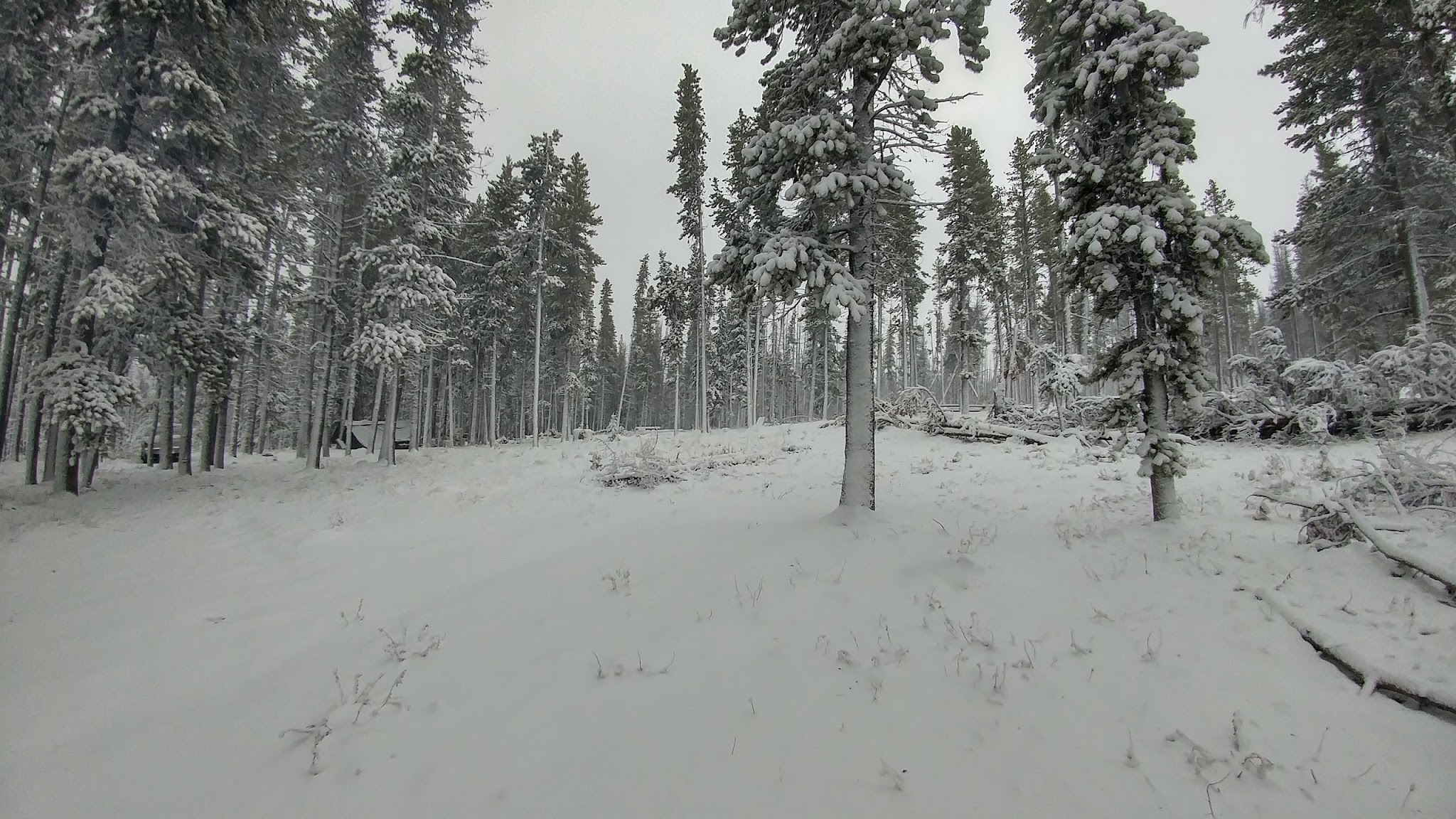 Tiffany Springs Campground