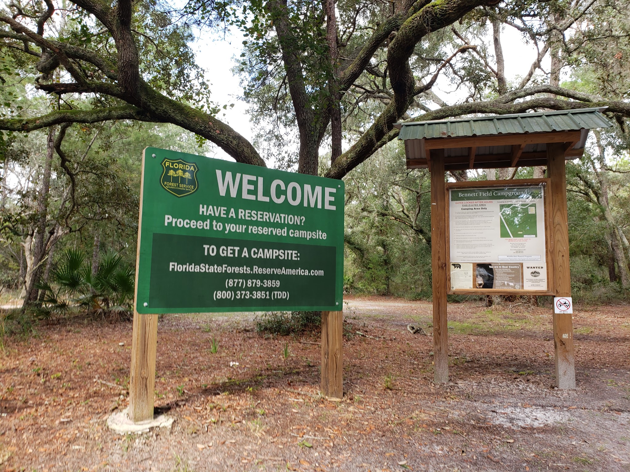 Bennett Field Campground Tiger Bay State Forest
