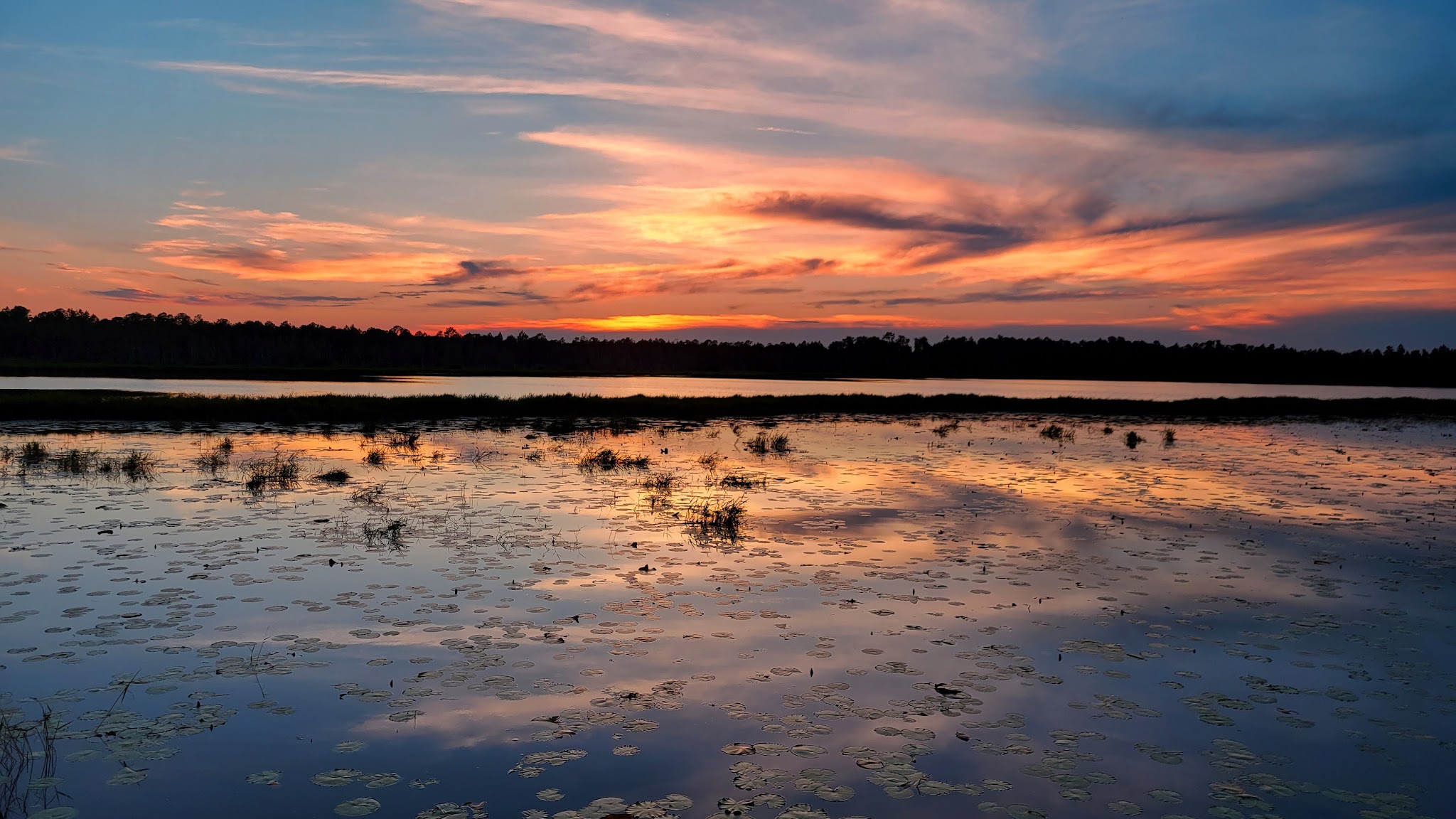 Bennett Field Campground Tiger Bay State Forest