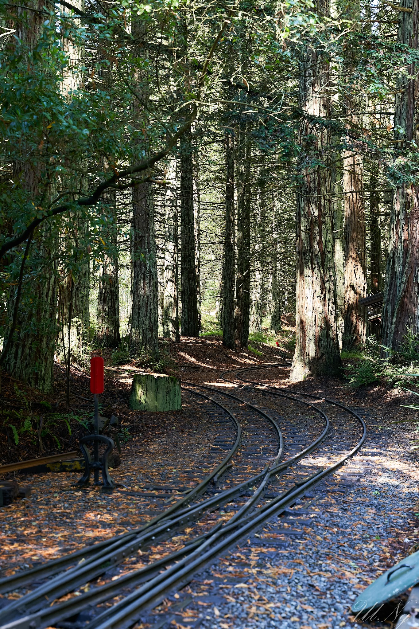 Tilden Regional Park