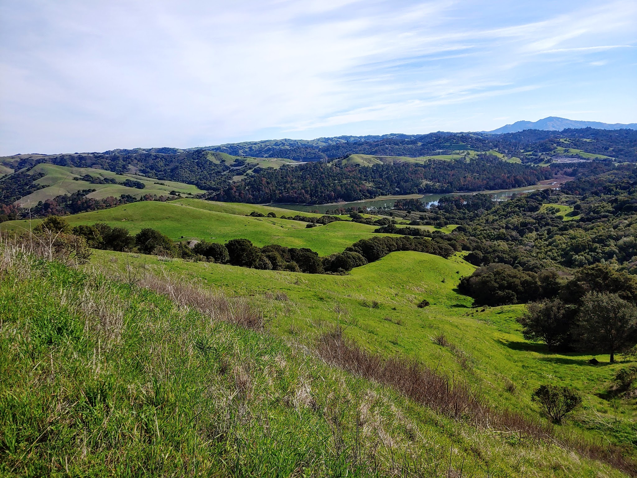 Tilden Regional Park