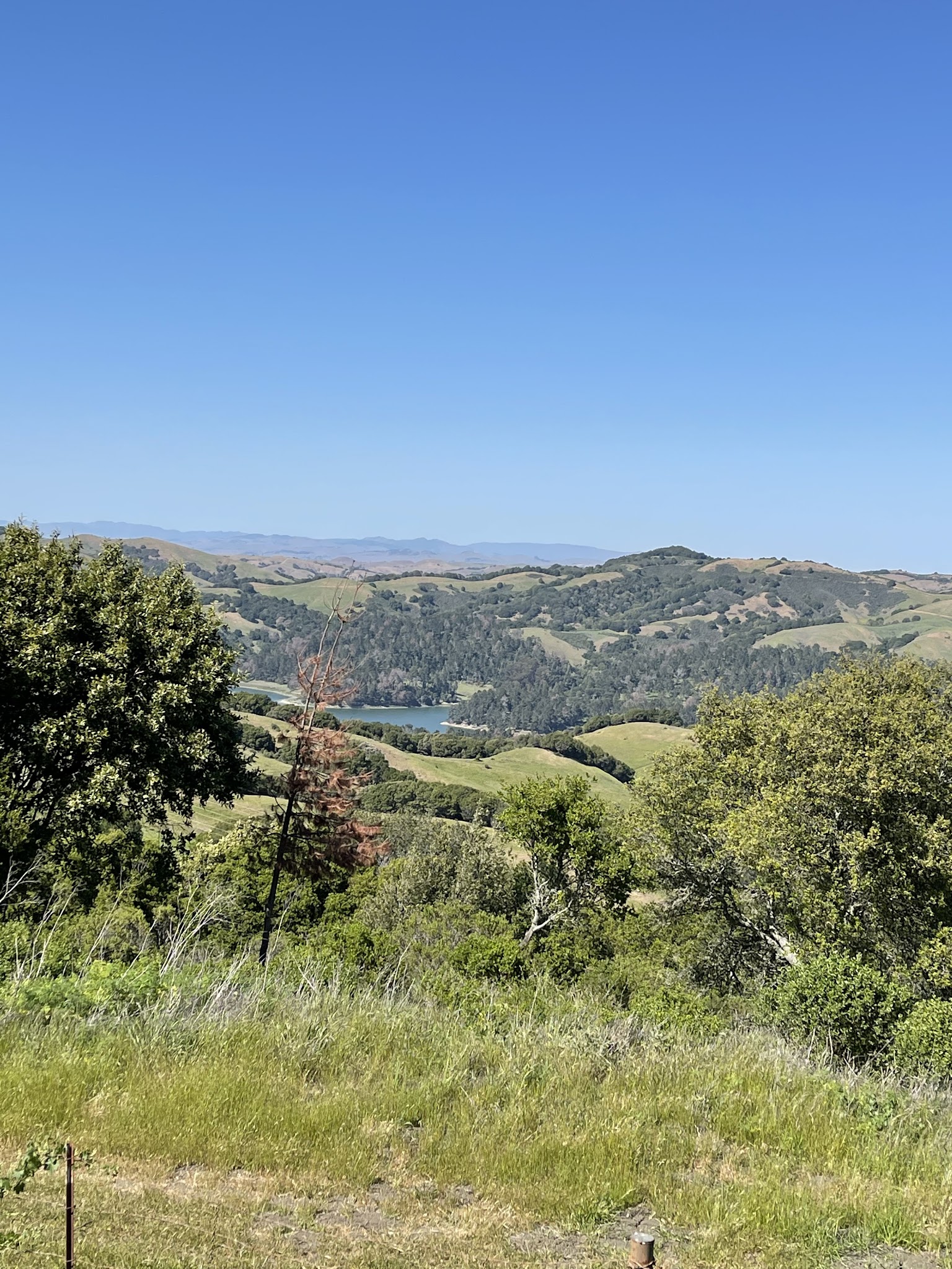 Tilden Regional Park