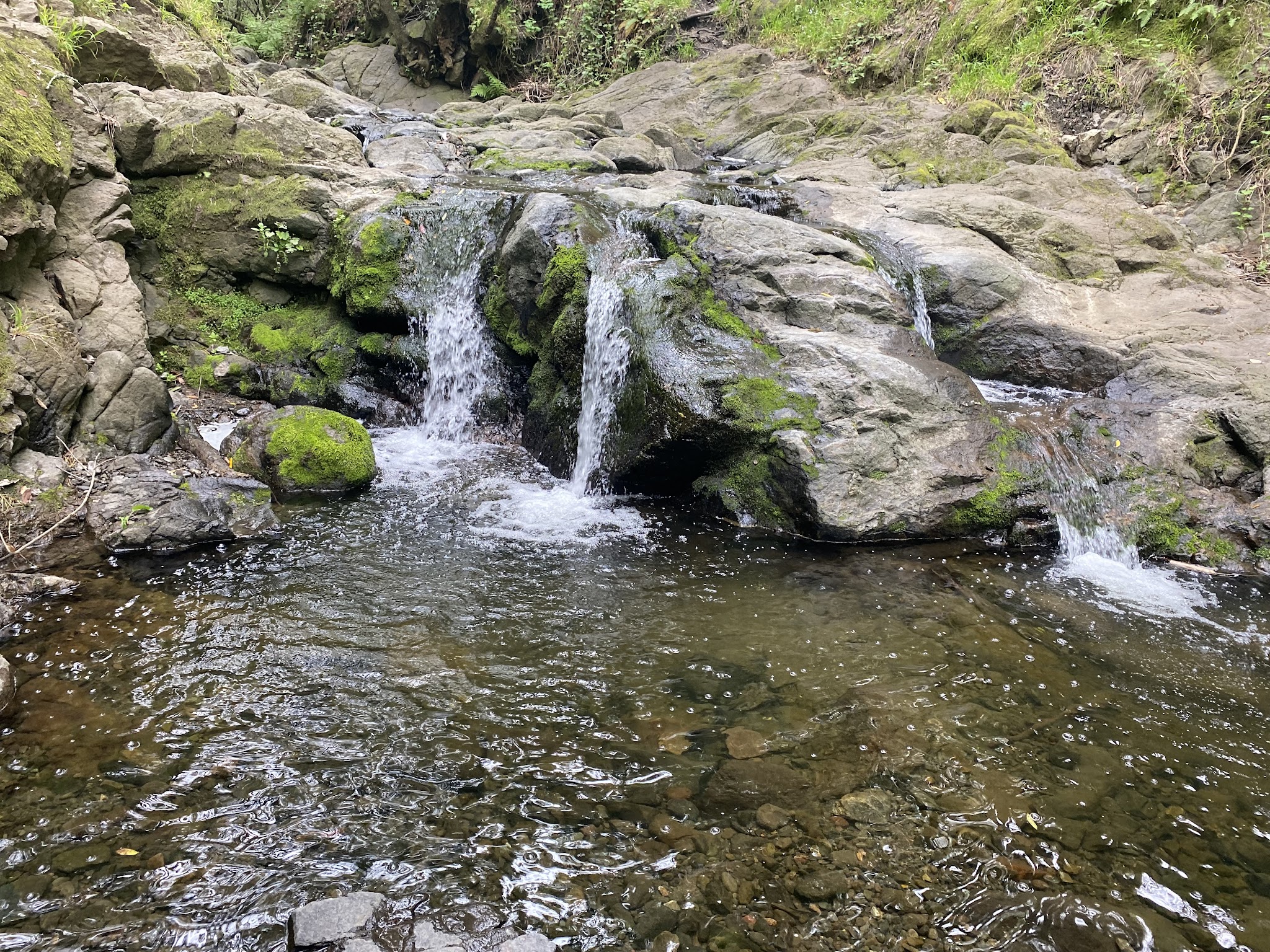 Tilden Regional Park