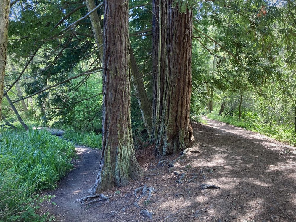 Tilden Regional Park