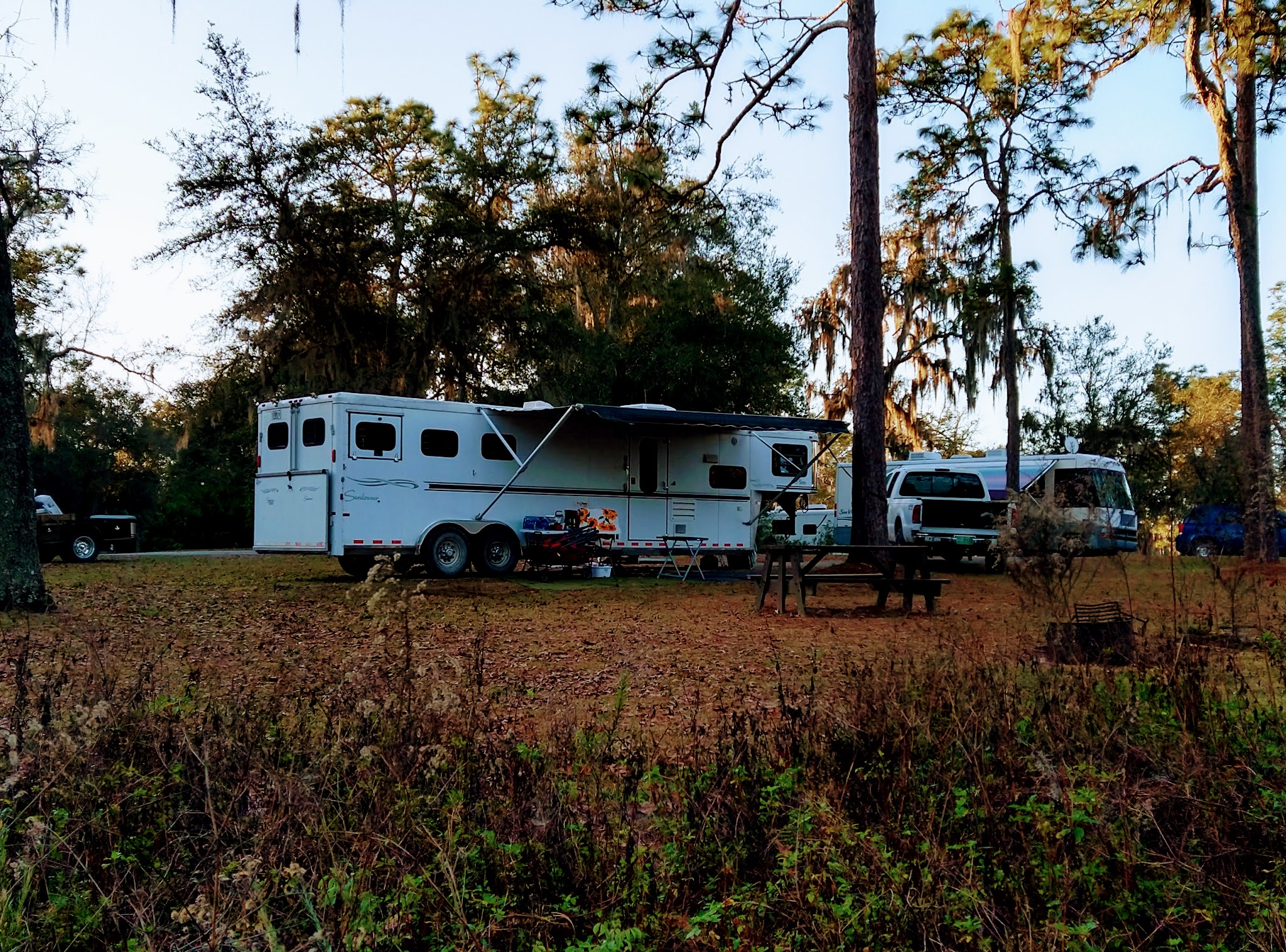 Tillis Hill Equestrian Campground Withlacoochee State Forest